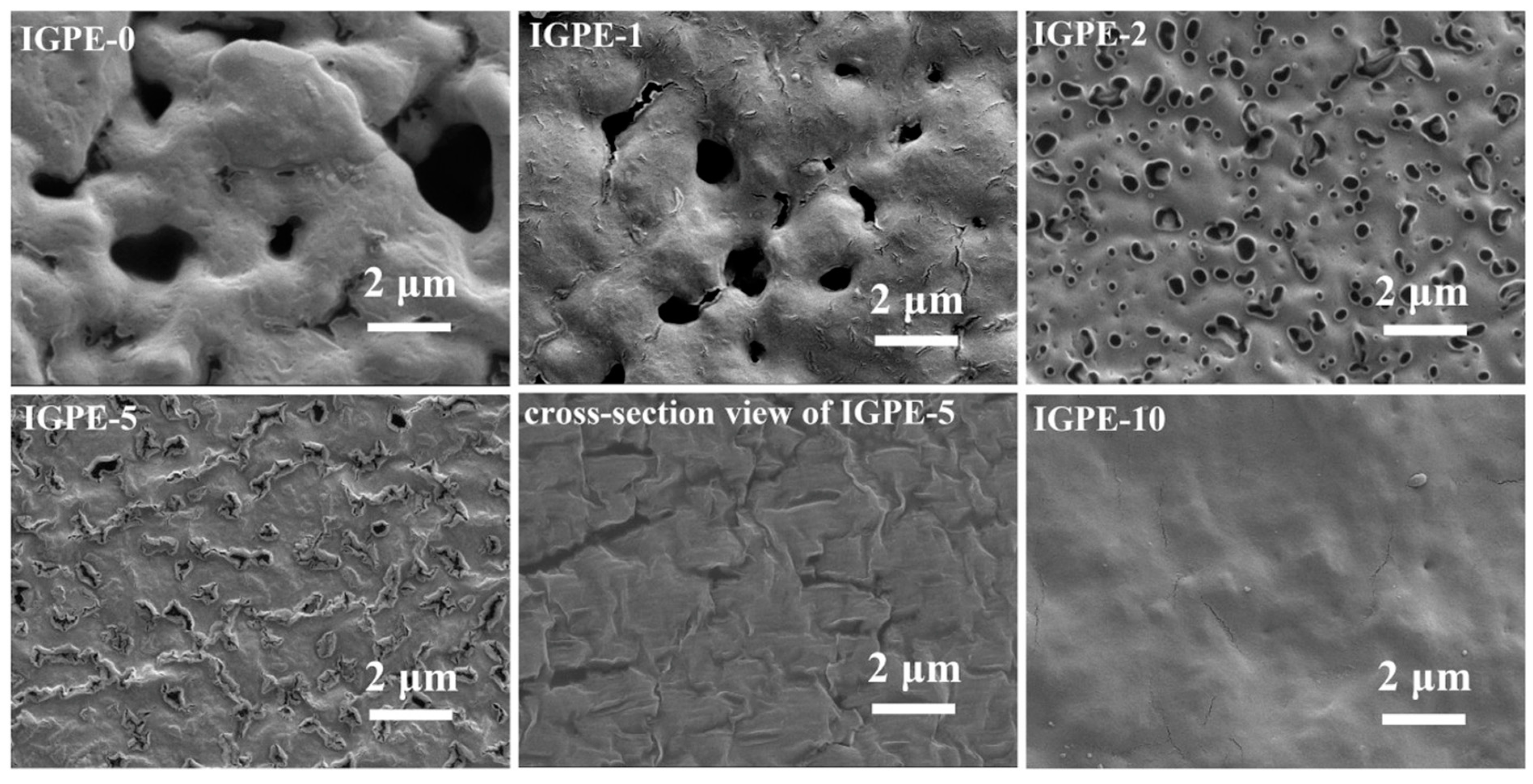 Molecules 25 06002 g005