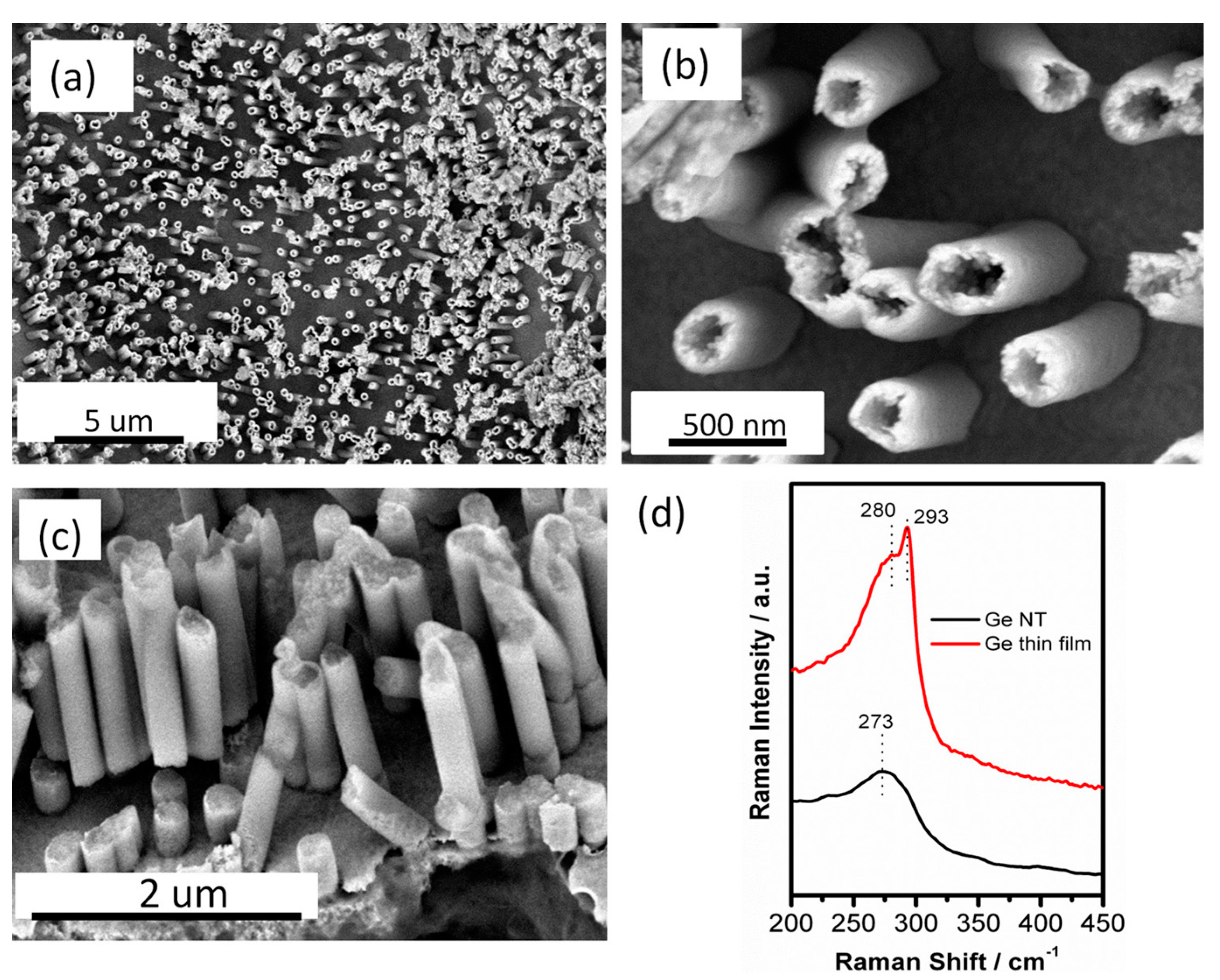 Molecules 25 06002 g012