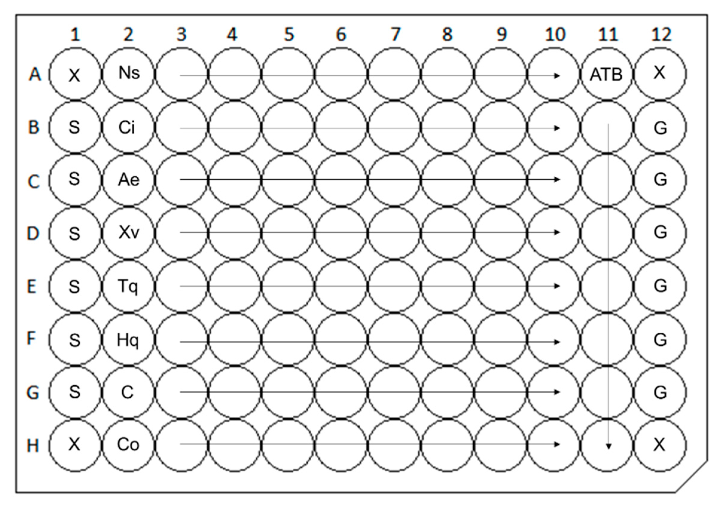 Molecules 25 06004 g003
