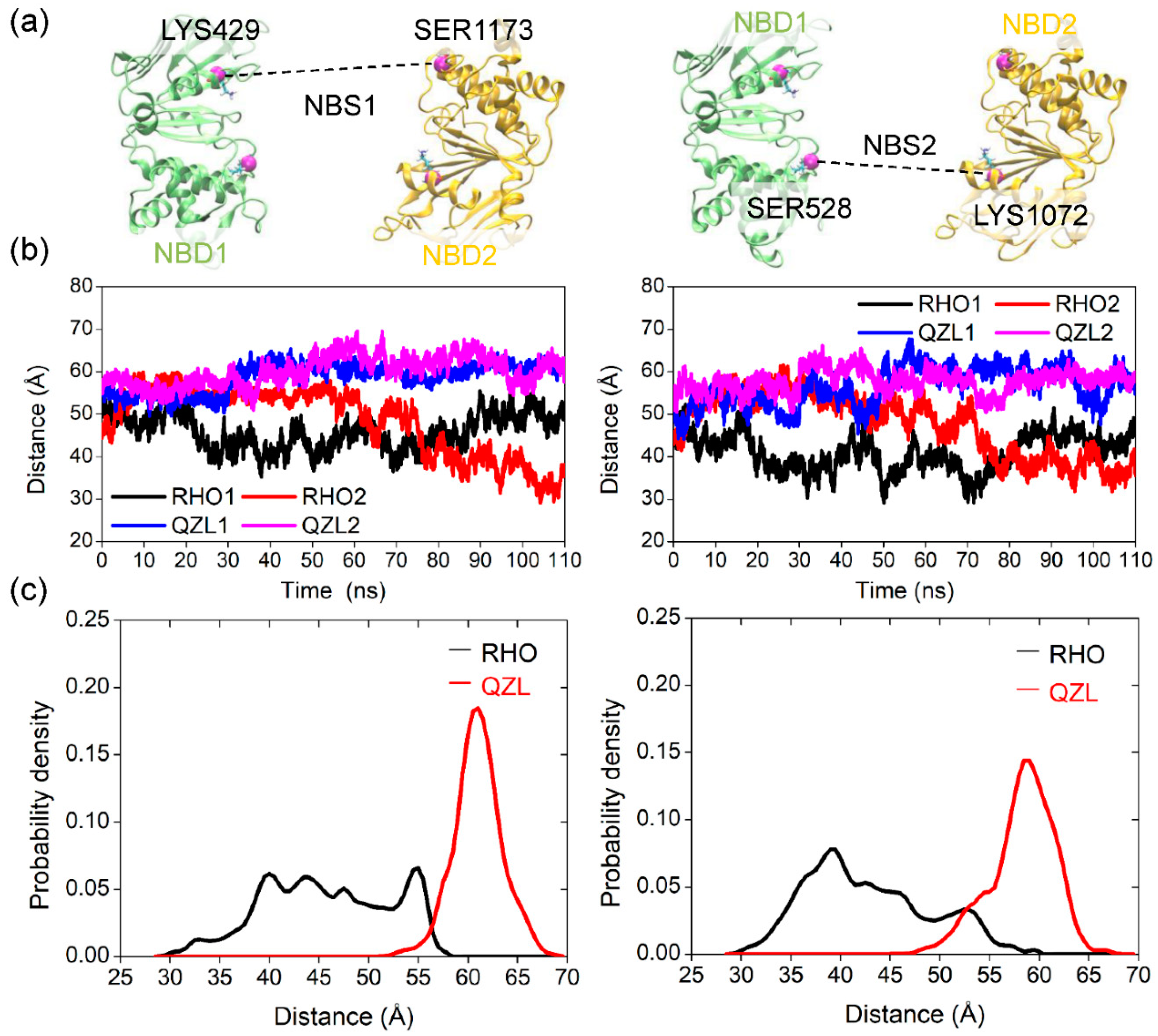 Molecules 25 06006 g003 Molecules 25 06006 g003