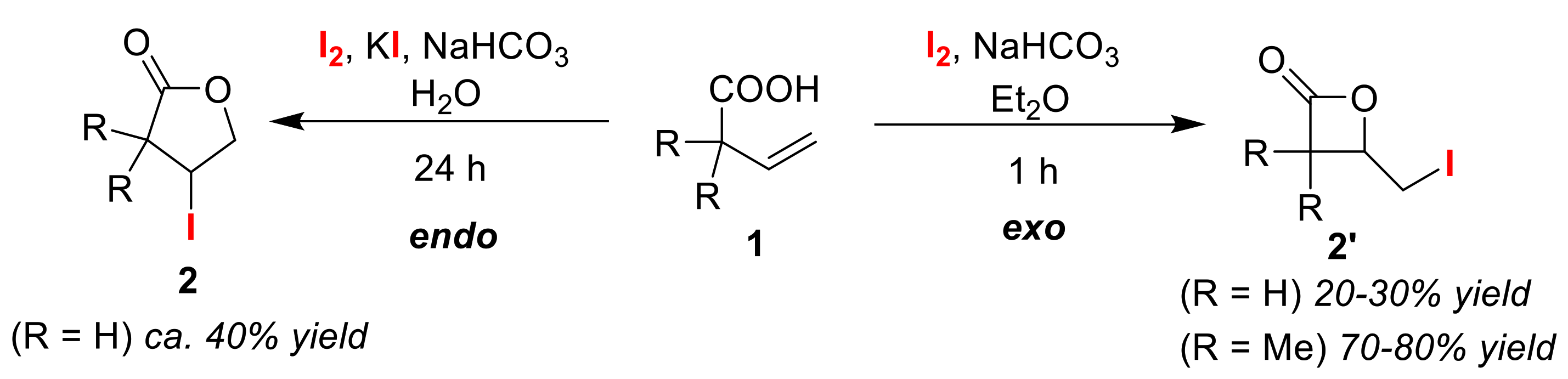 Molecules 25 06007 g002 Molecules 25 06007 g002