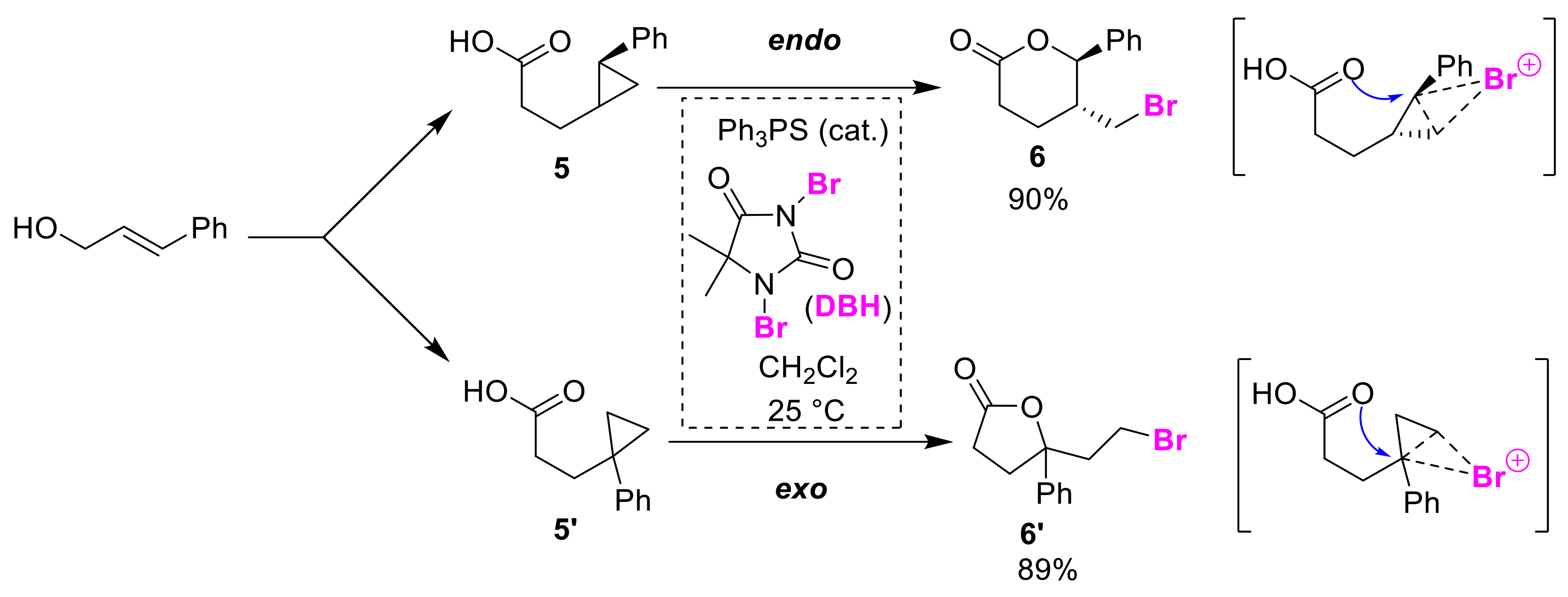Molecules 25 06007 g004 Molecules 25 06007 g004