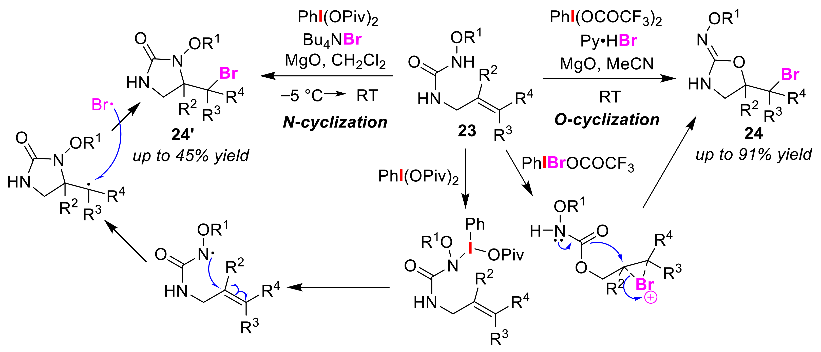 Molecules 25 06007 g013 Molecules 25 06007 g013