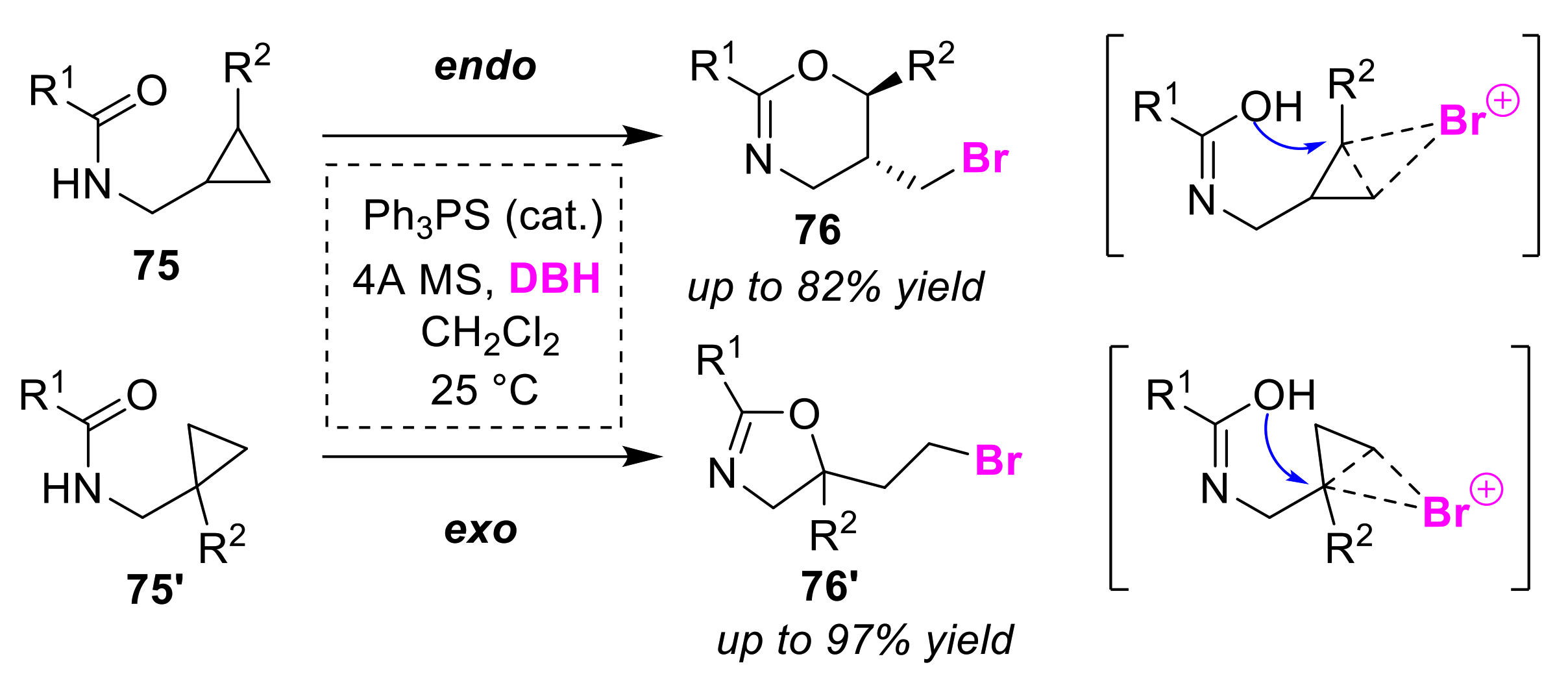 Molecules 25 06007 g036 Molecules 25 06007 g036