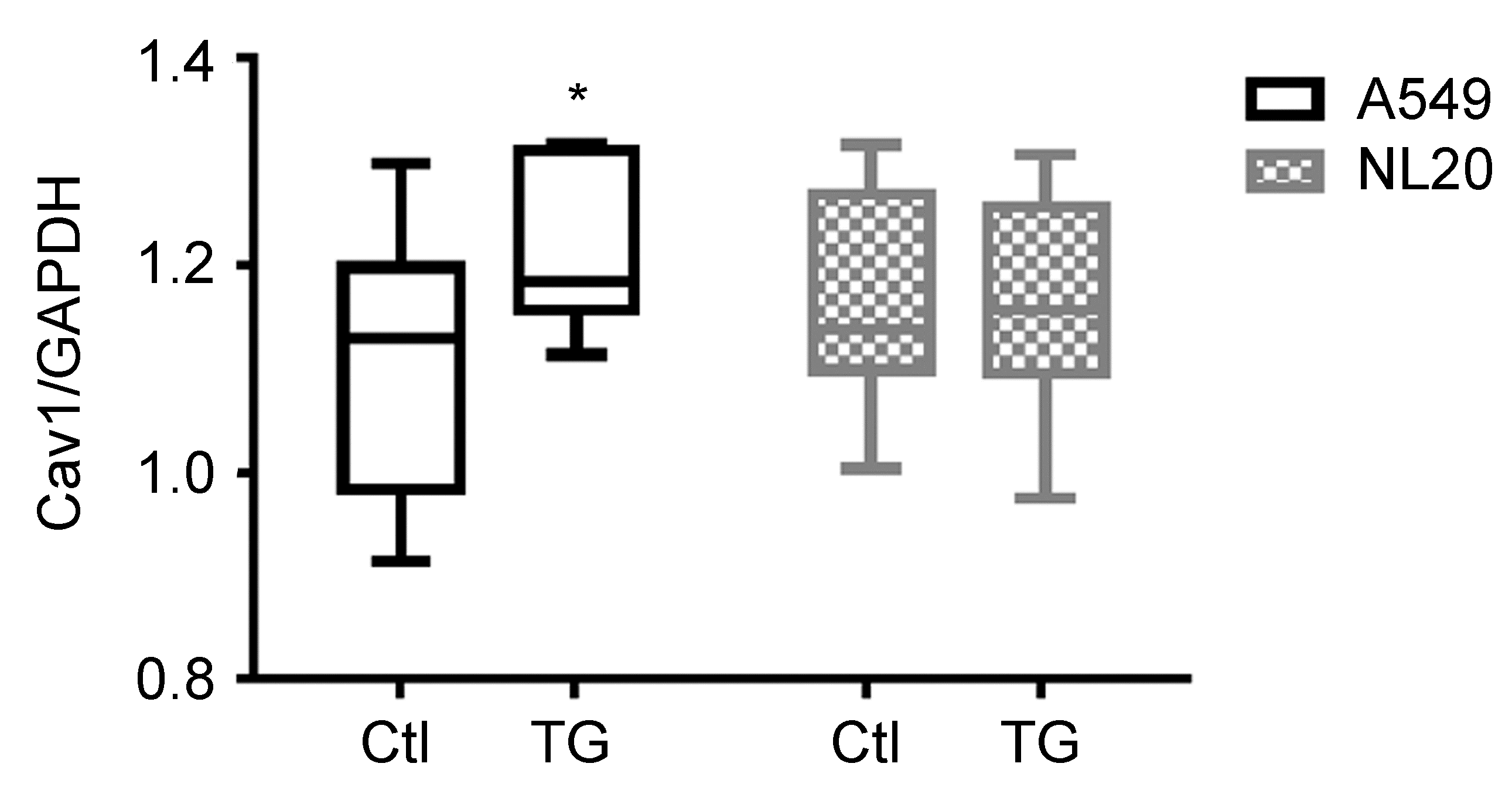 Molecules 25 06010 g007 Molecules 25 06010 g007