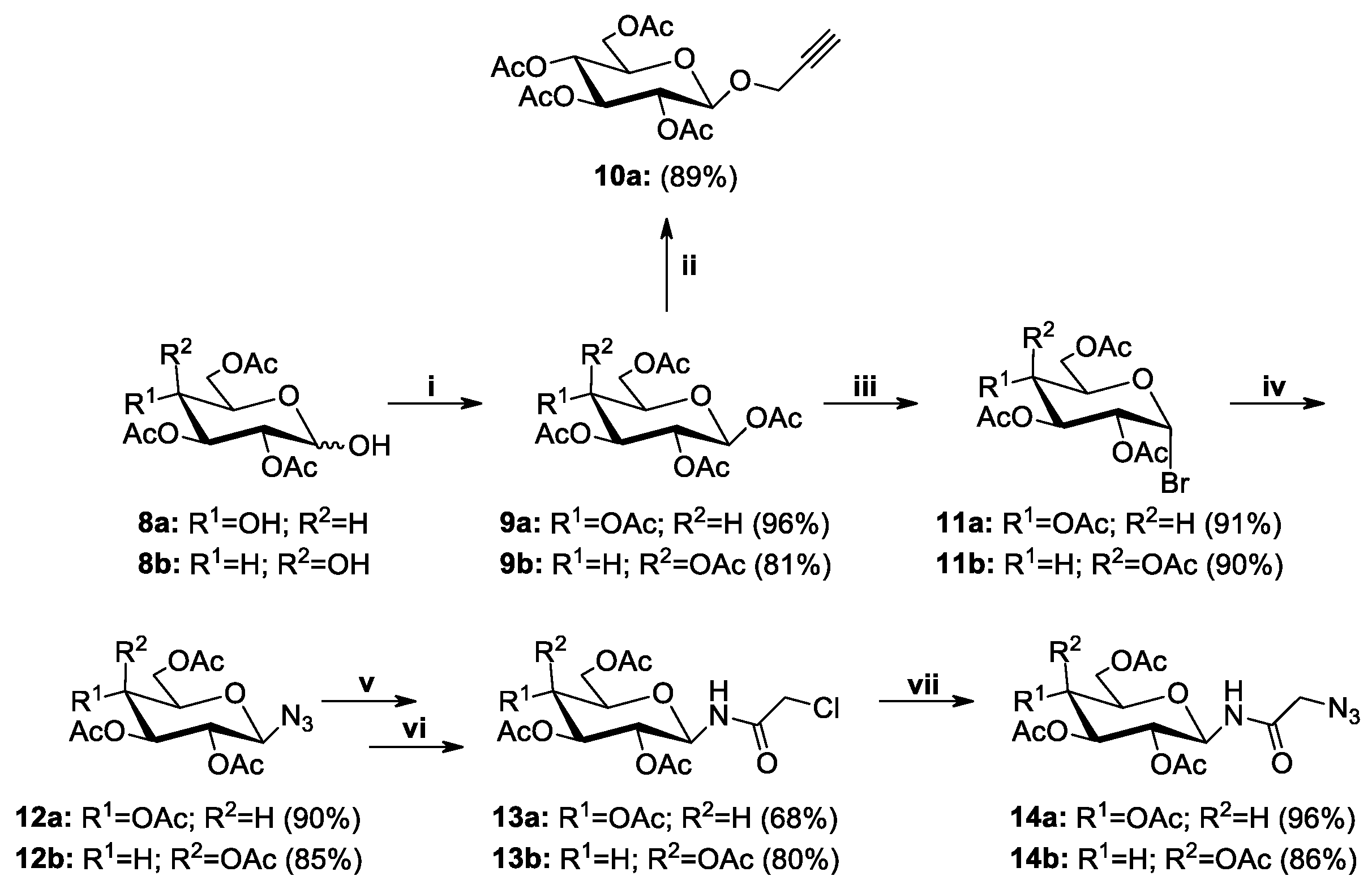 Molecules 25 06019 sch005 Molecules 25 06019 sch005