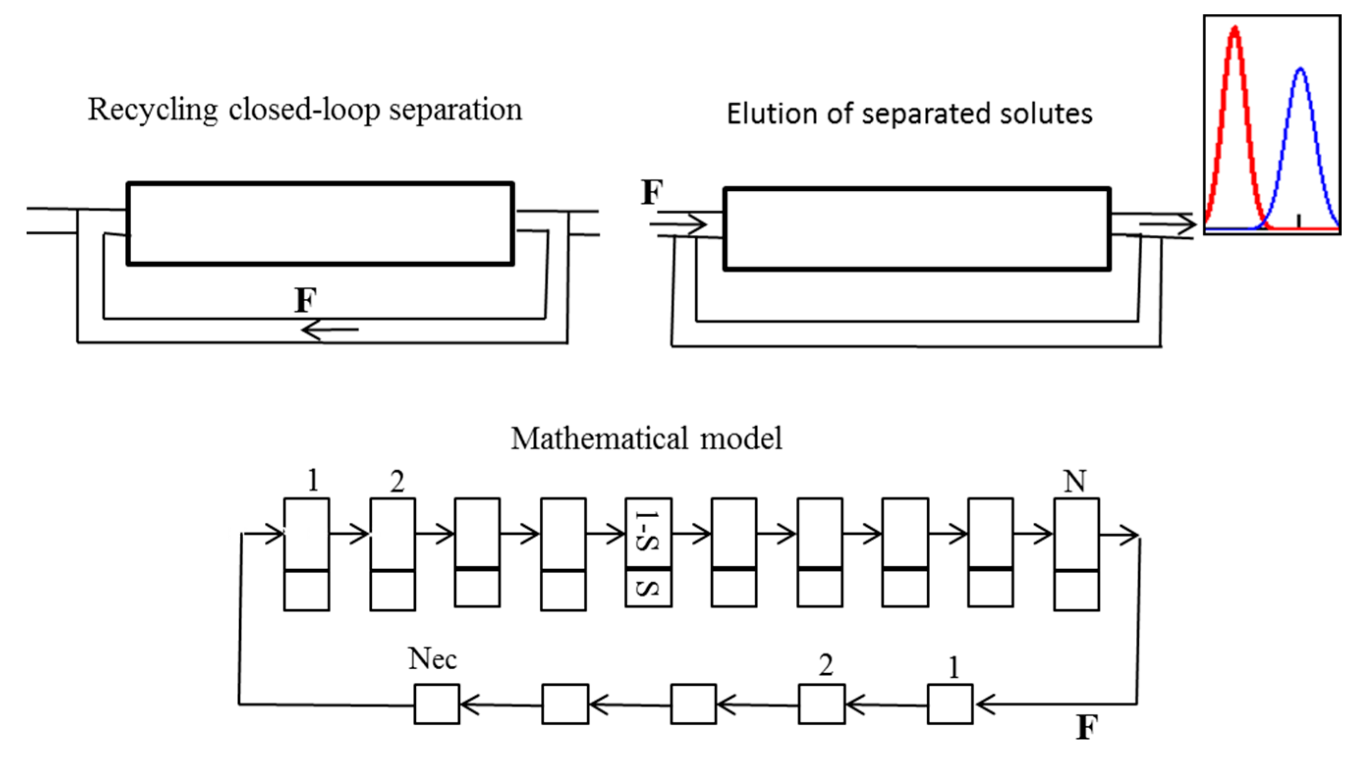 Molecules 25 06020 g006