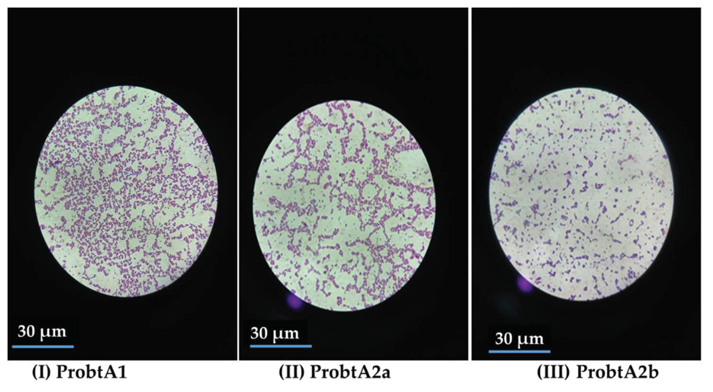 Molecules 25 06021 g001 Molecules 25 06021 g001