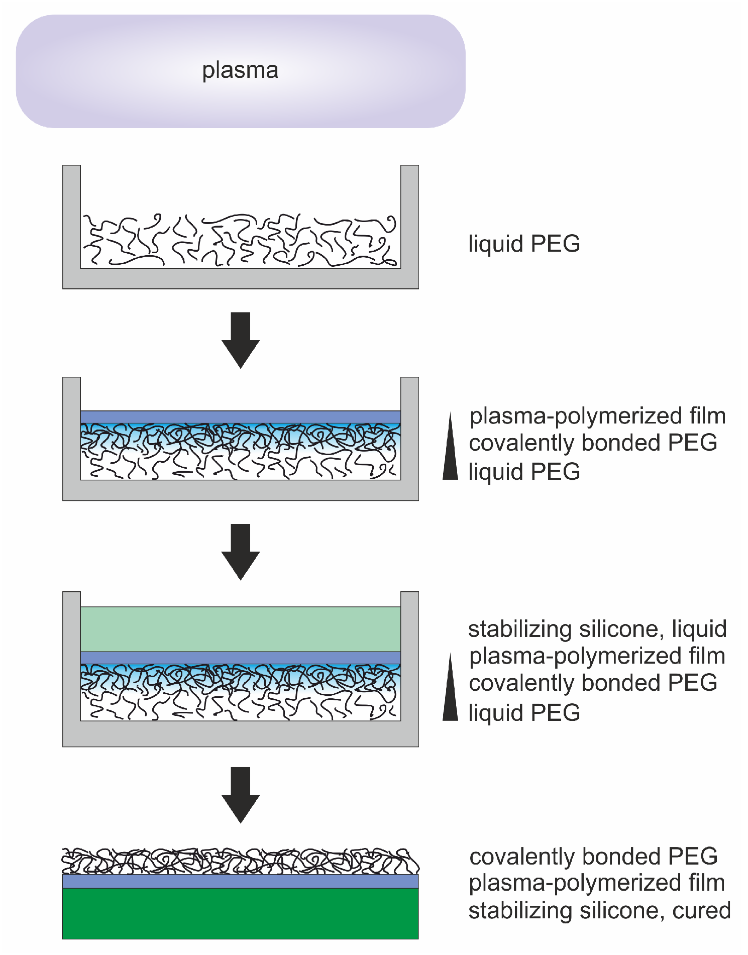 Molecules 25 06024 g001
