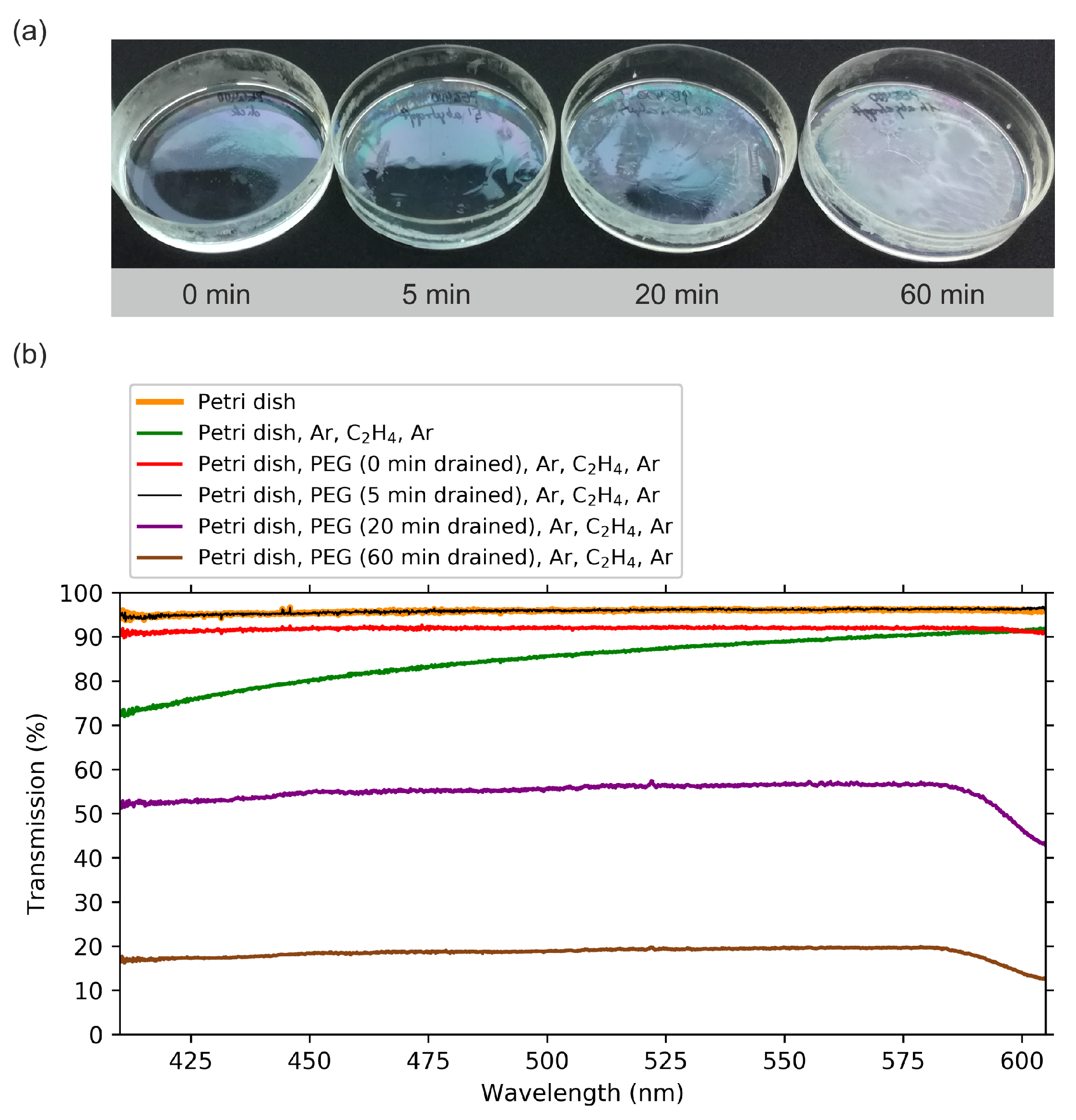 Molecules 25 06024 g004
