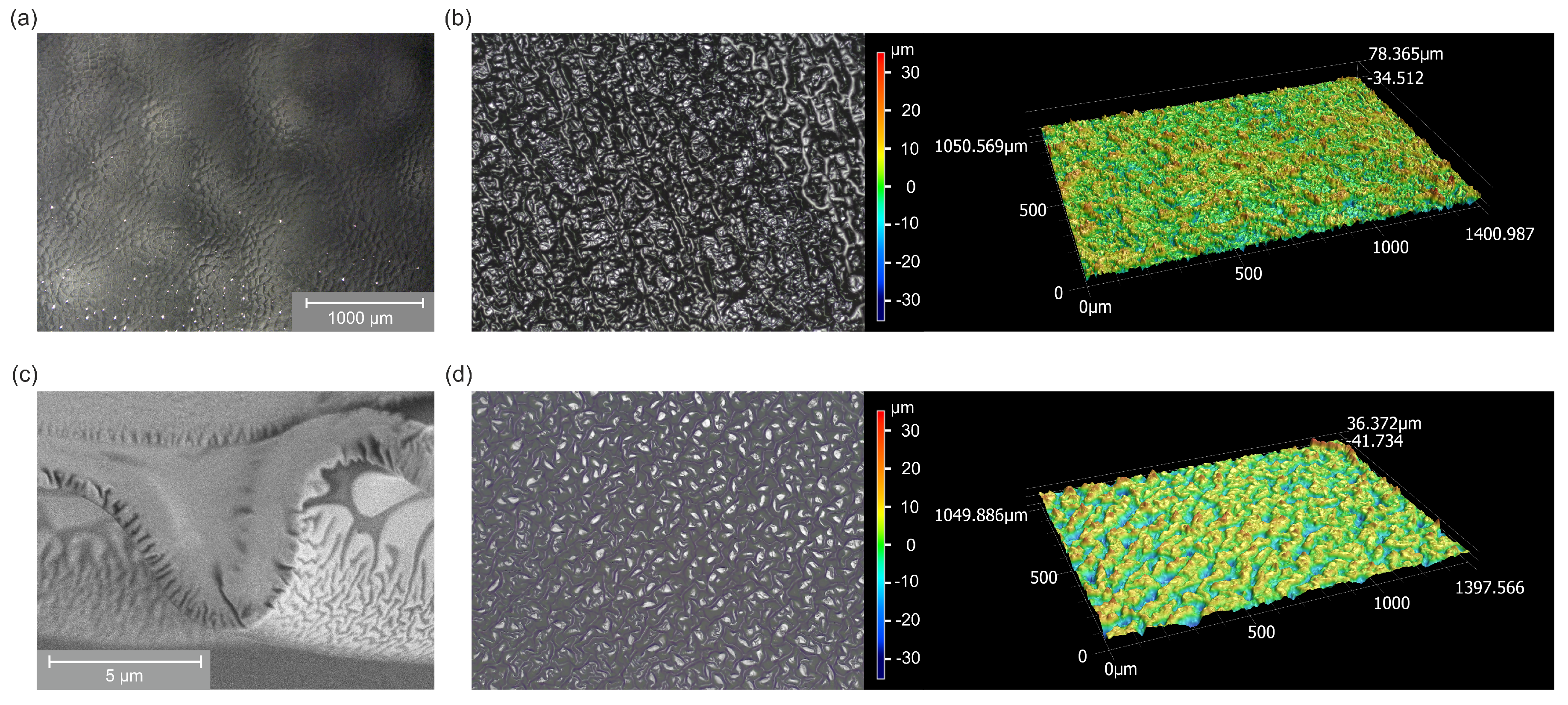 Molecules 25 06024 g005