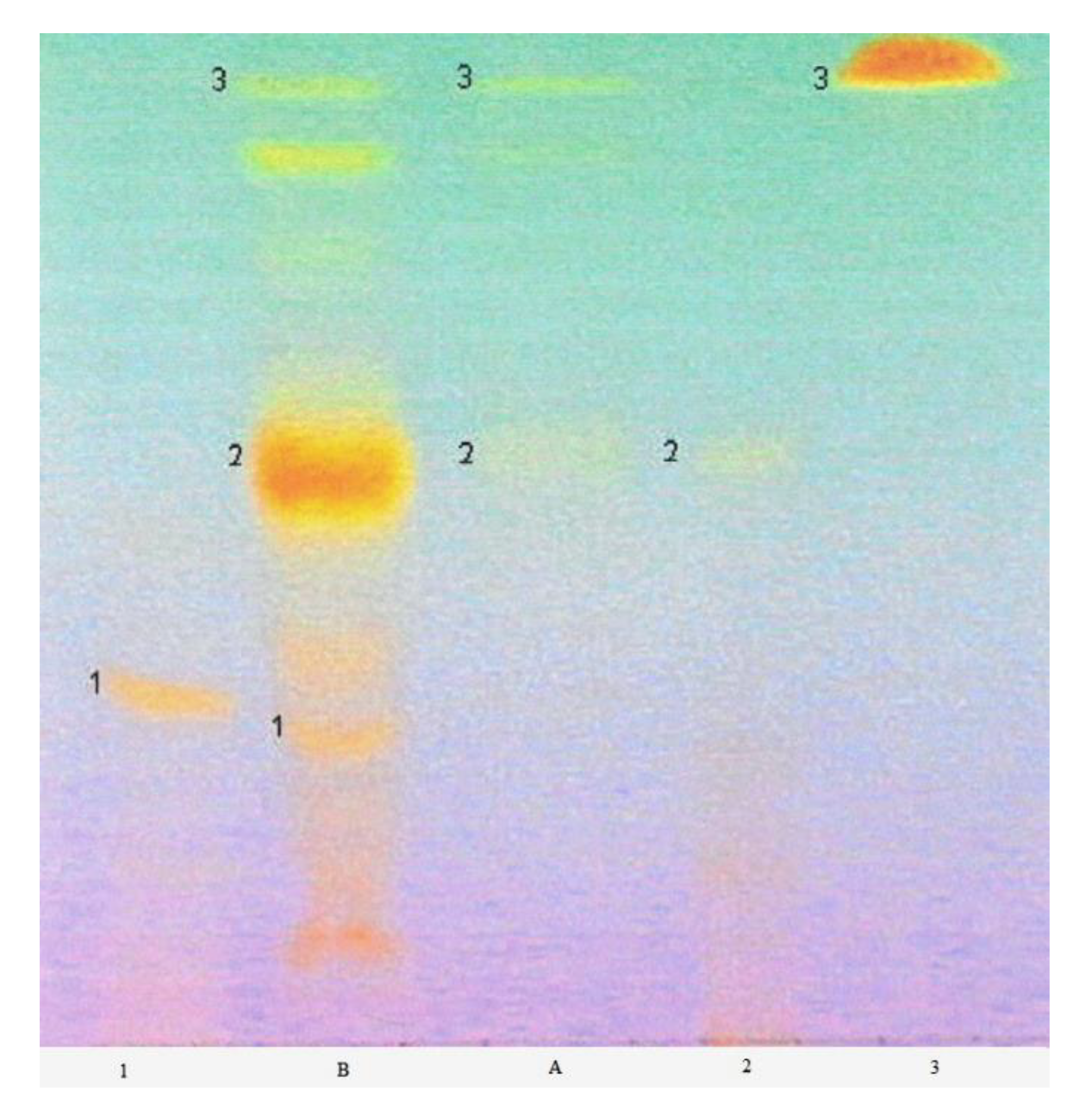 Molecules 25 06025 g007
