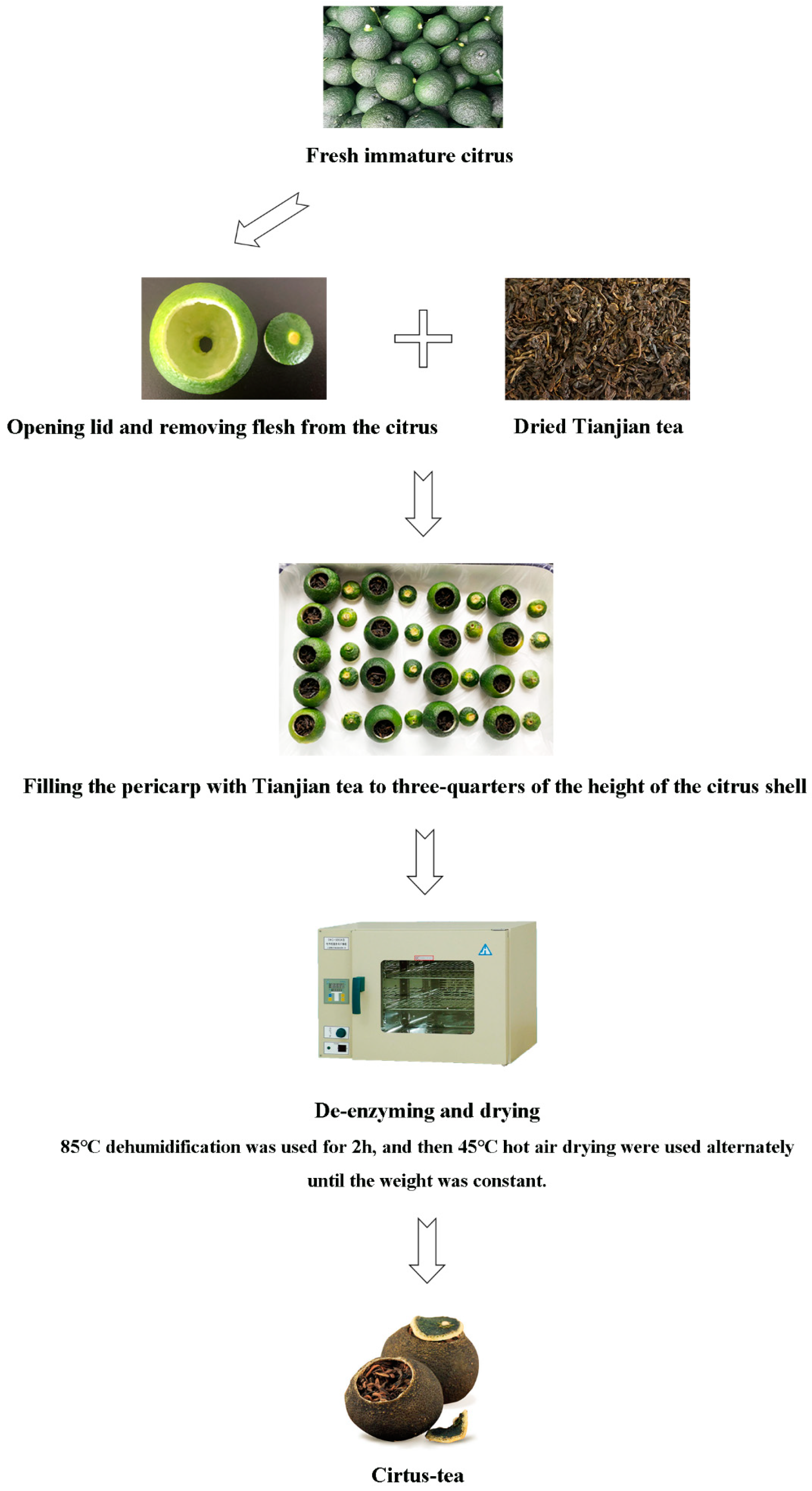 Molecules 25 06027 g008