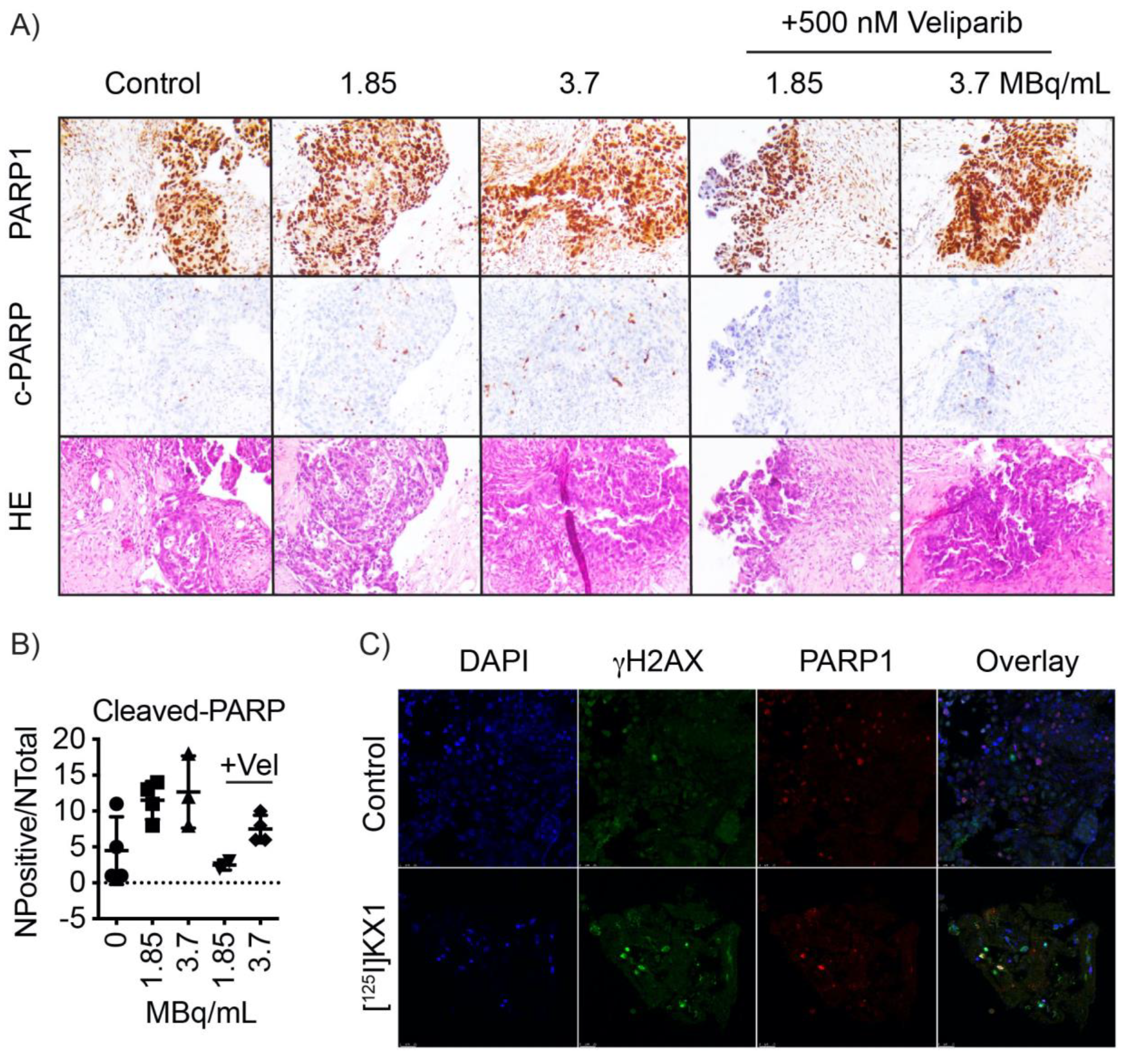 Molecules 25 06029 g004