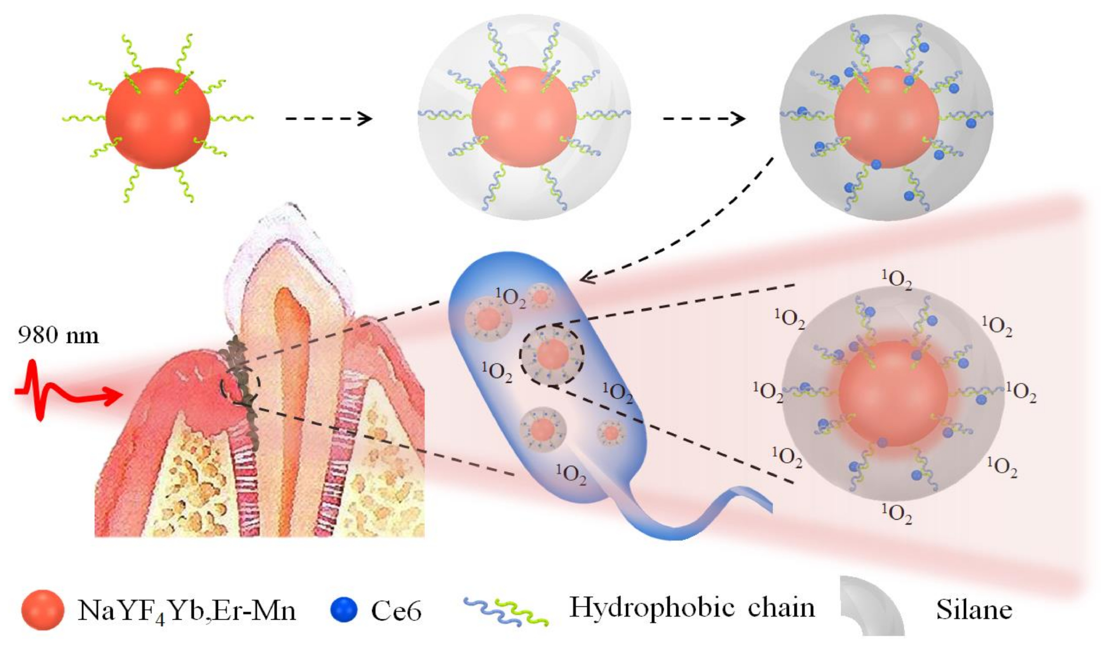 Molecules 25 06035 g001 Molecules 25 06035 g001