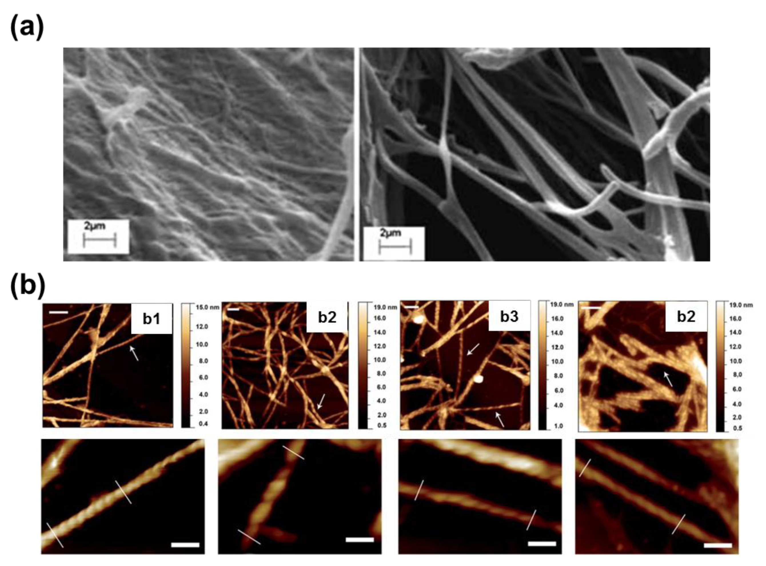 Molecules 25 06037 g009