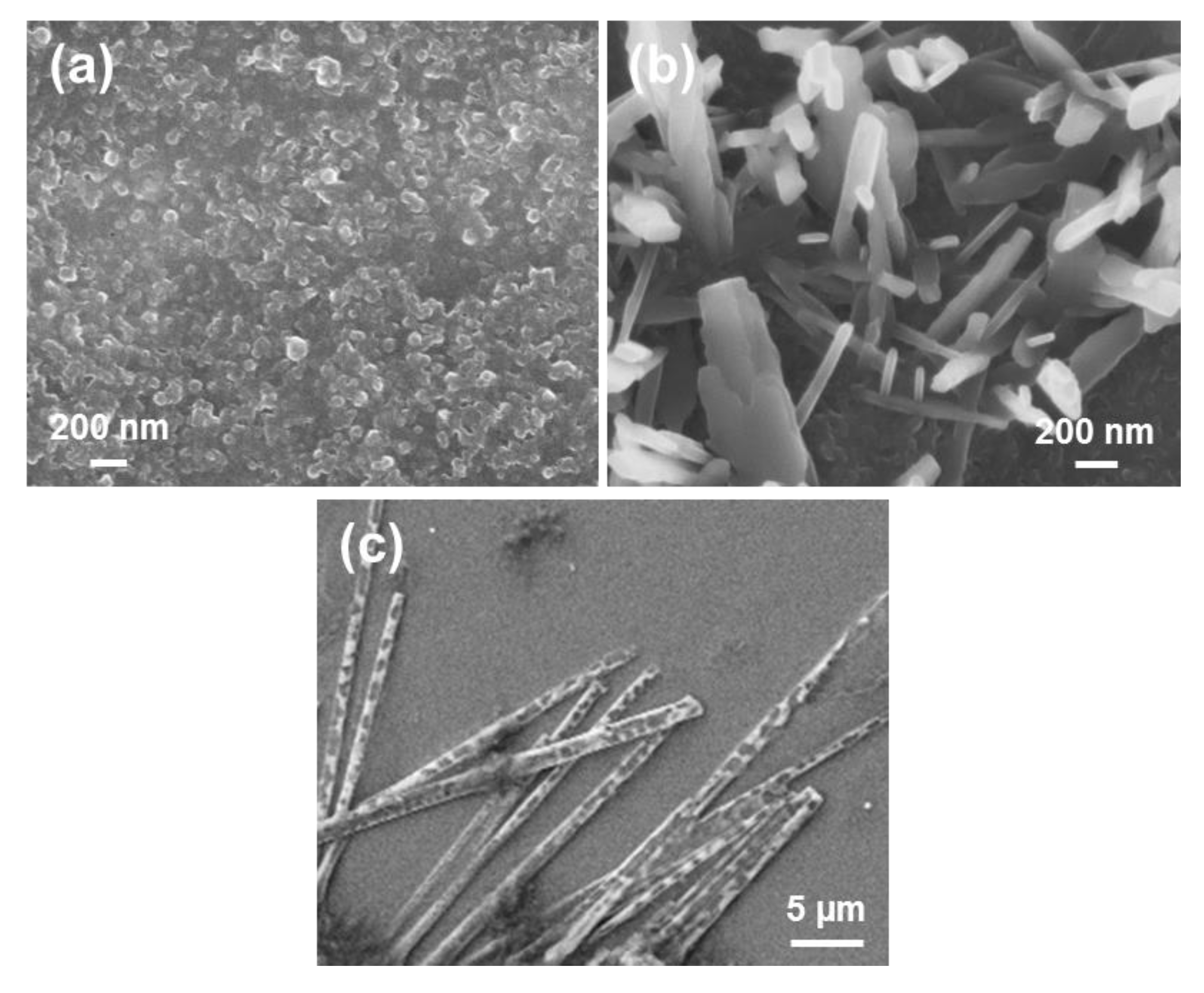 Molecules 25 06037 g010