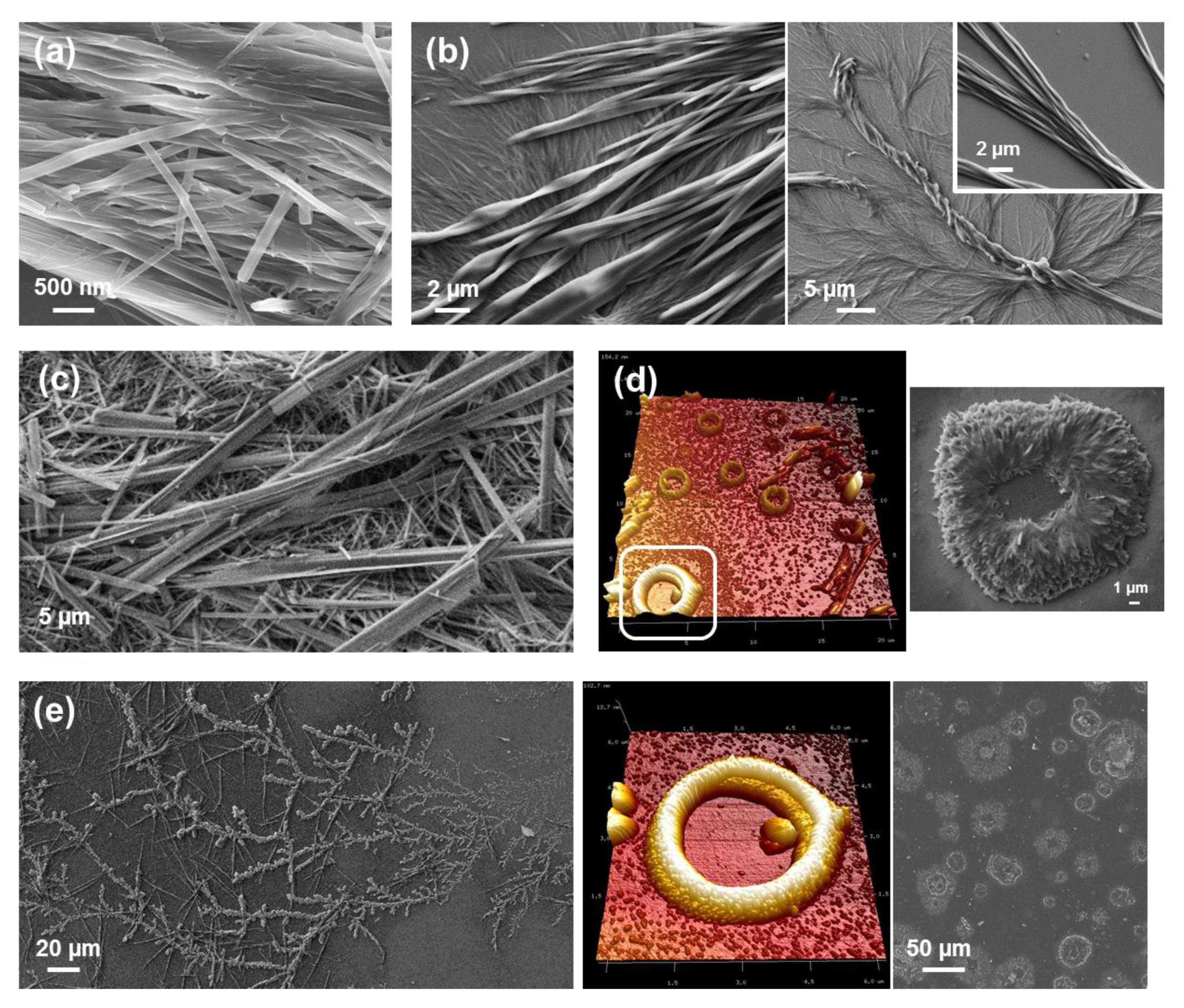 Molecules 25 06037 g011