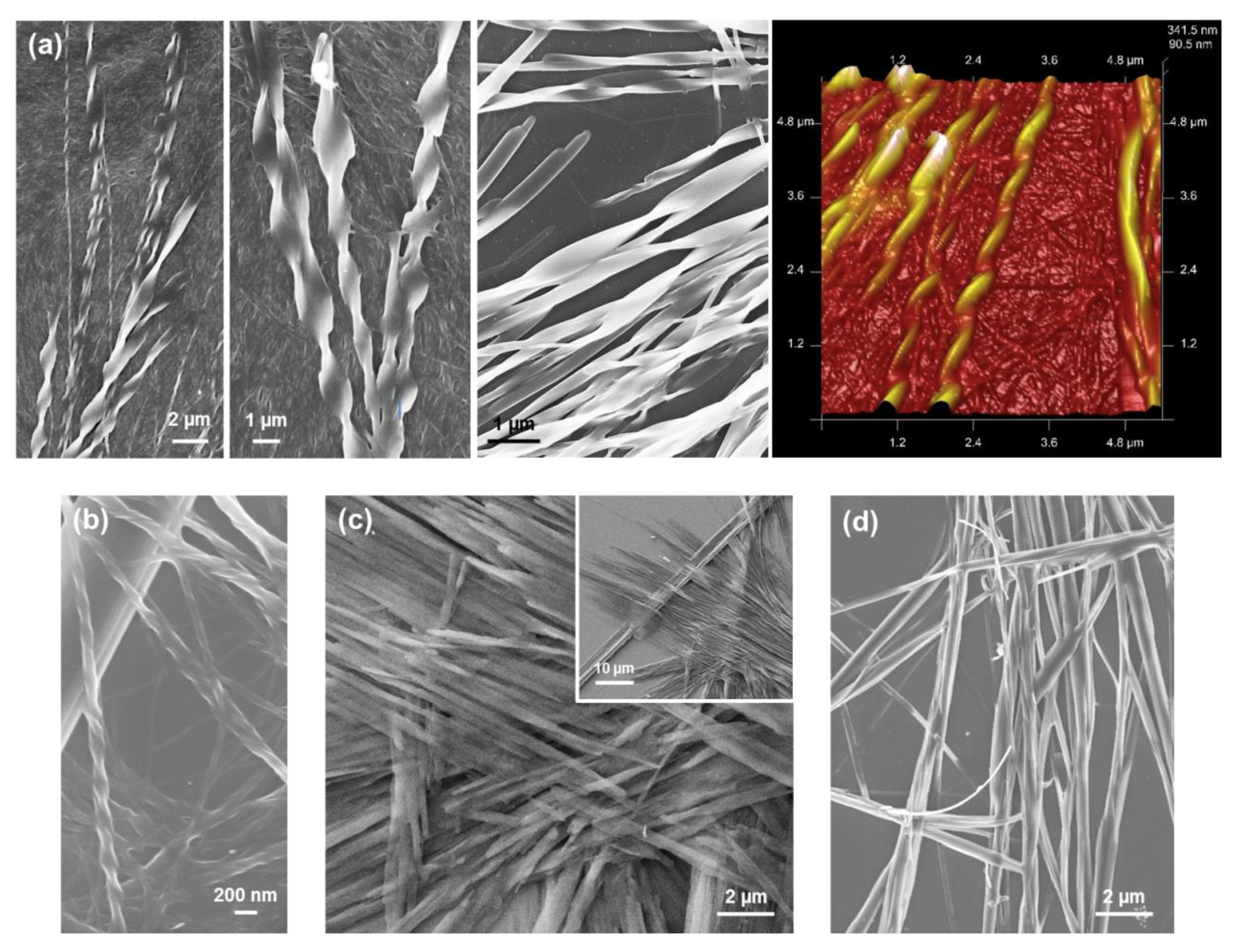 Molecules 25 06037 g012