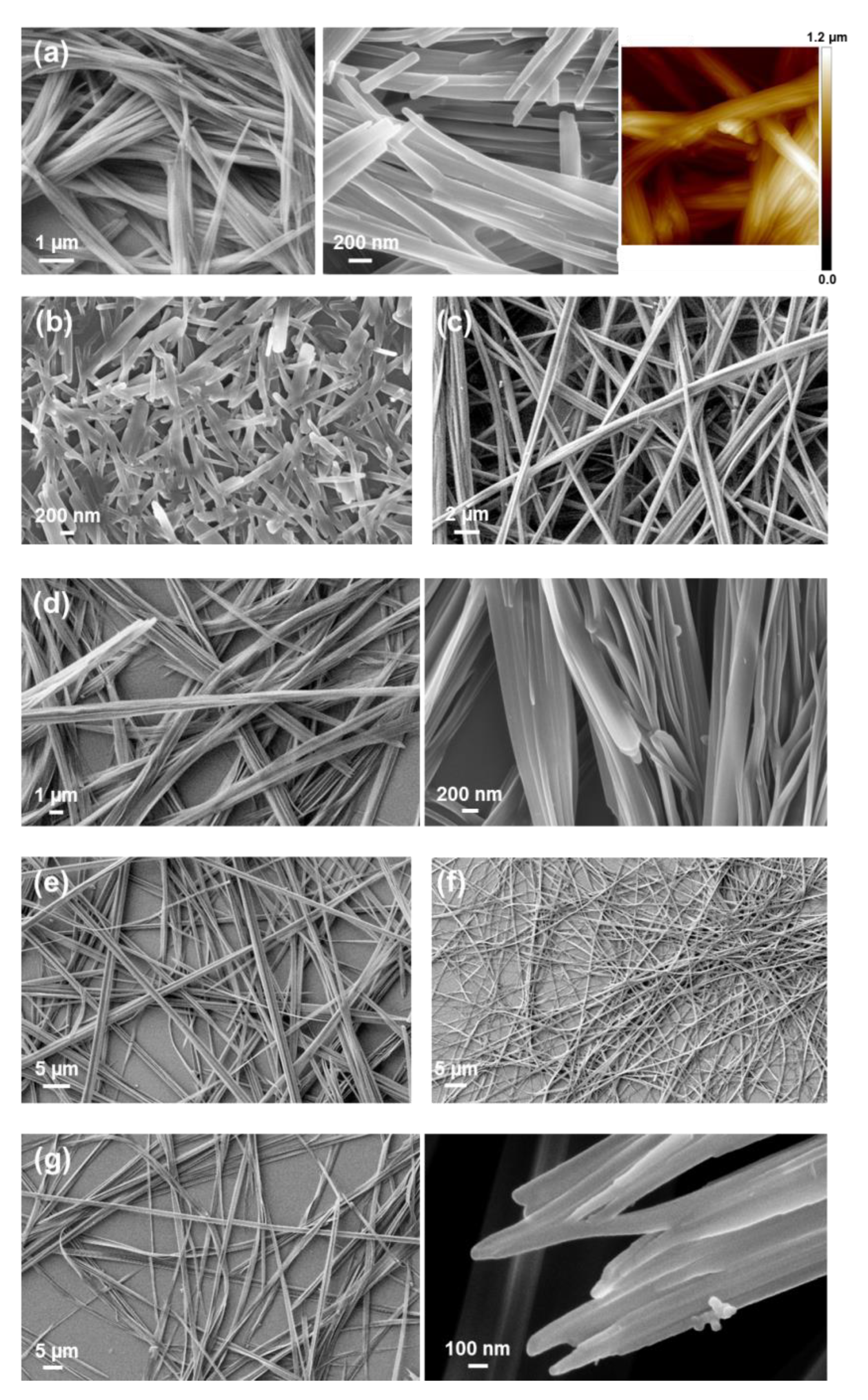 Molecules 25 06037 g015