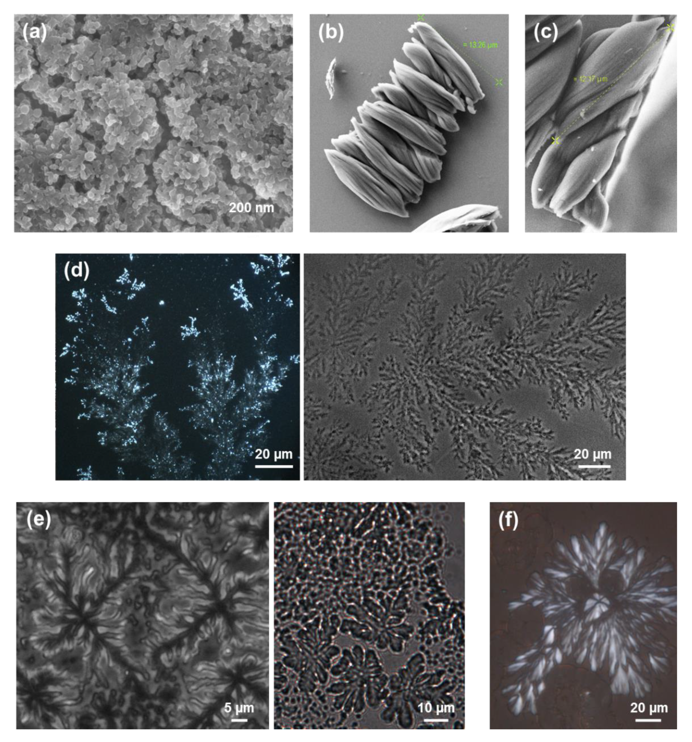 Molecules 25 06037 g017