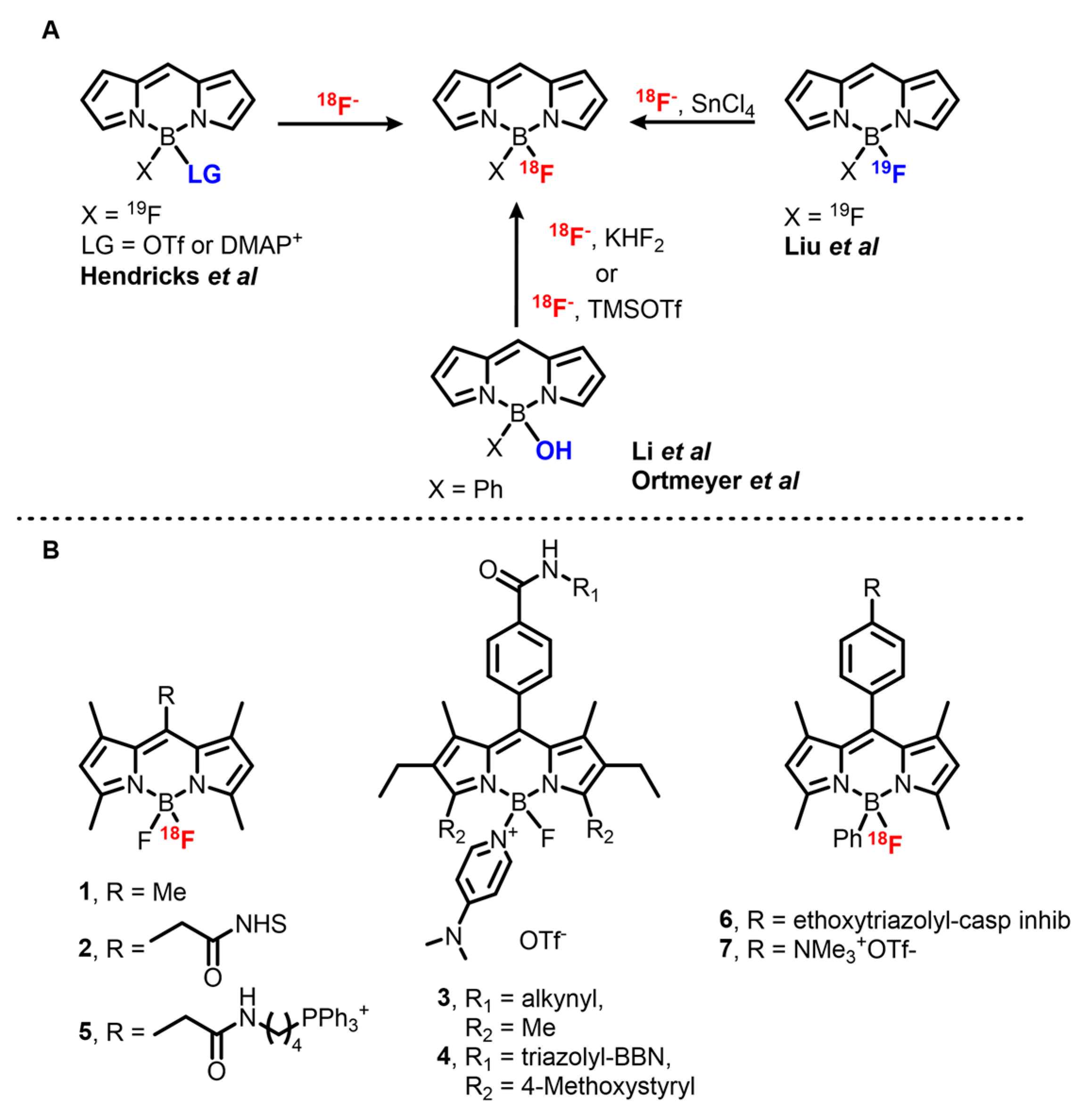 Molecules 25 06042 sch001 Molecules 25 06042 sch001