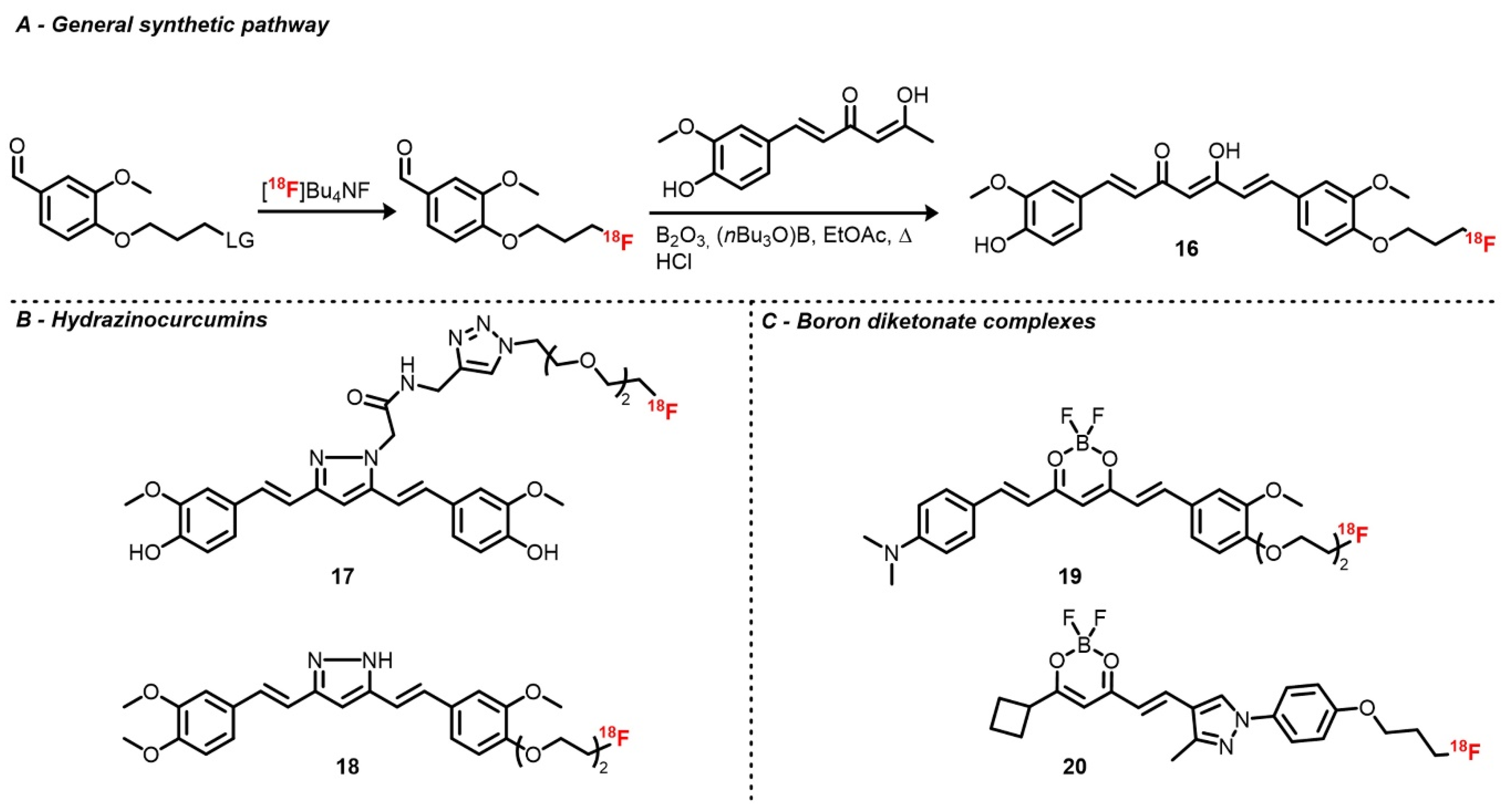 Molecules 25 06042 sch005 Molecules 25 06042 sch005