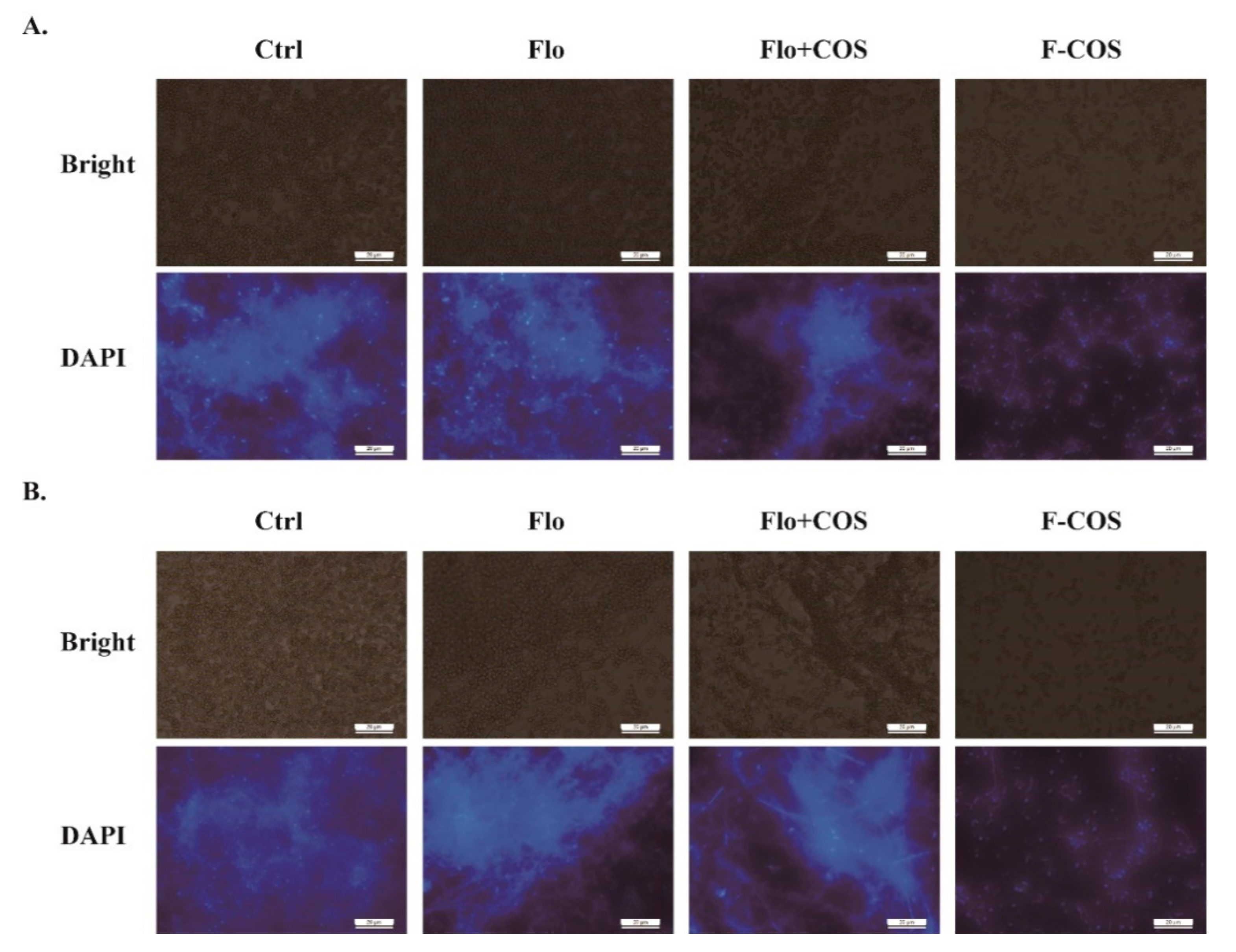 Molecules 25 06043 g005 Molecules 25 06043 g005