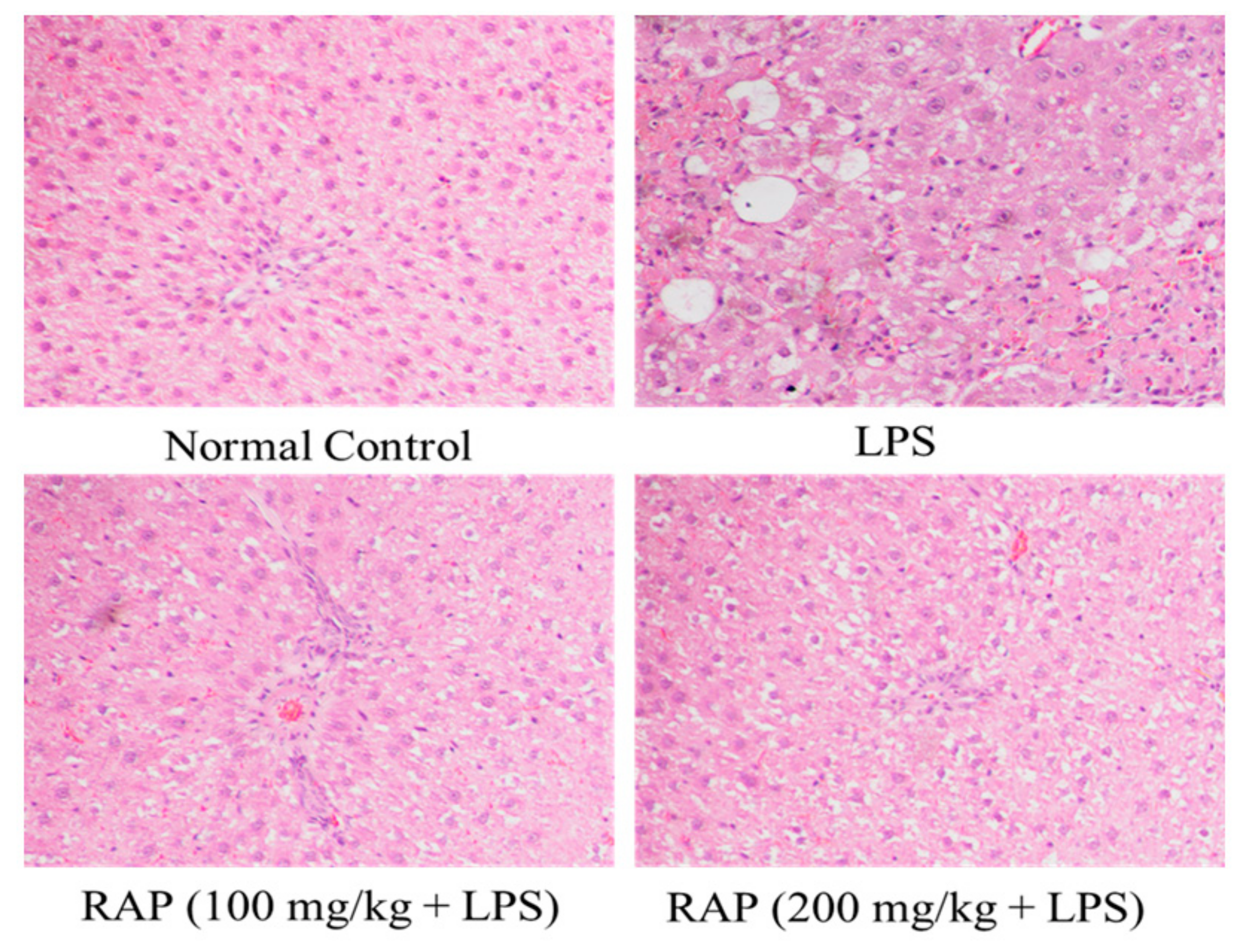 Molecules 25 06045 g006 Molecules 25 06045 g006