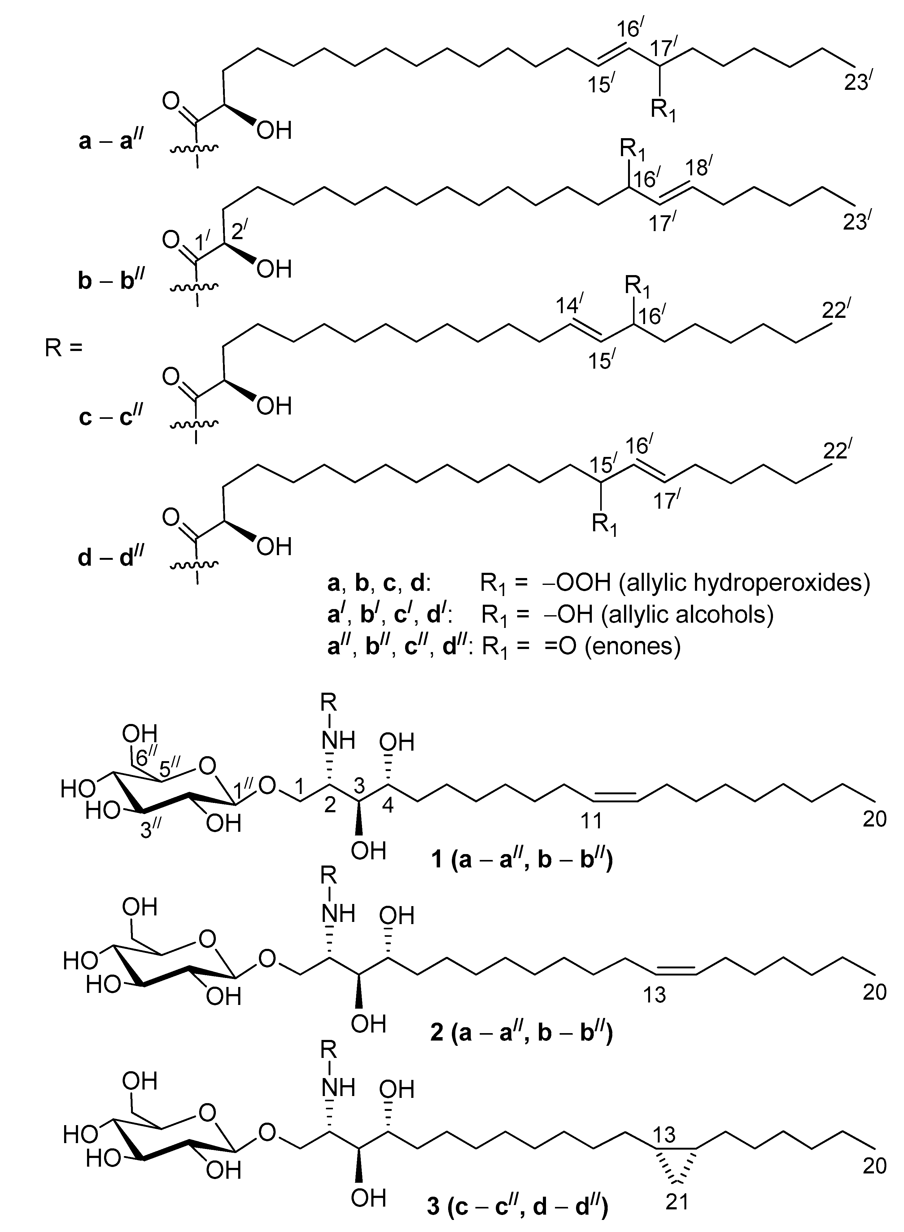 Molecules 25 06047 g001