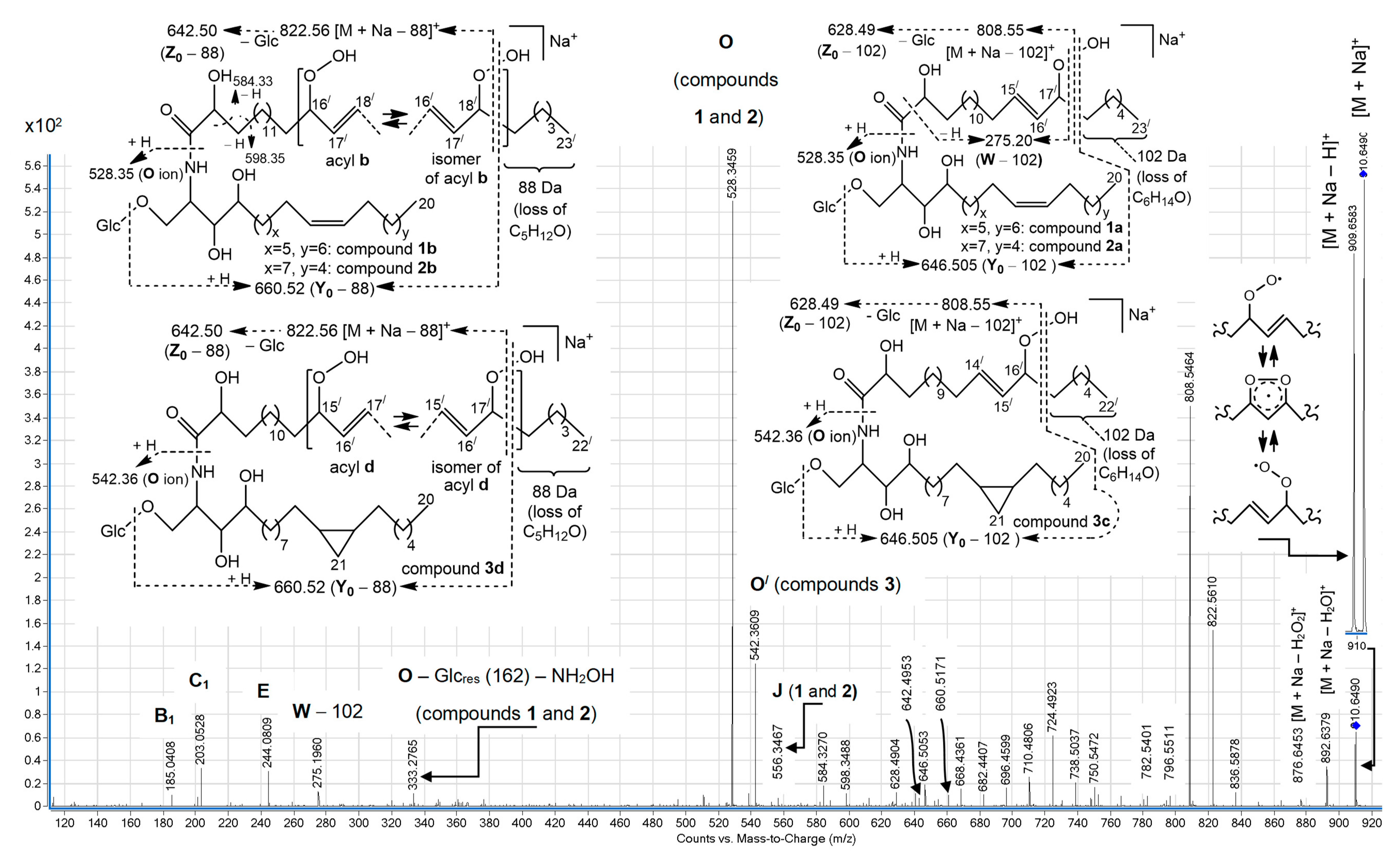 Molecules 25 06047 g002