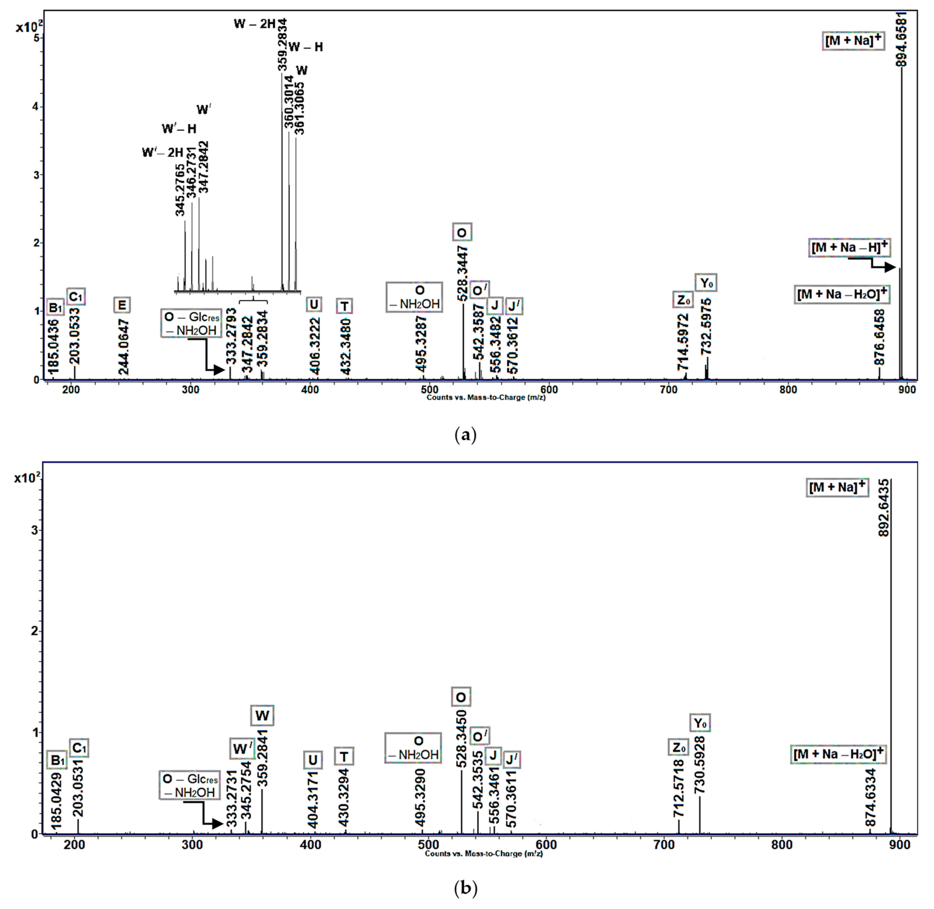Molecules 25 06047 g003