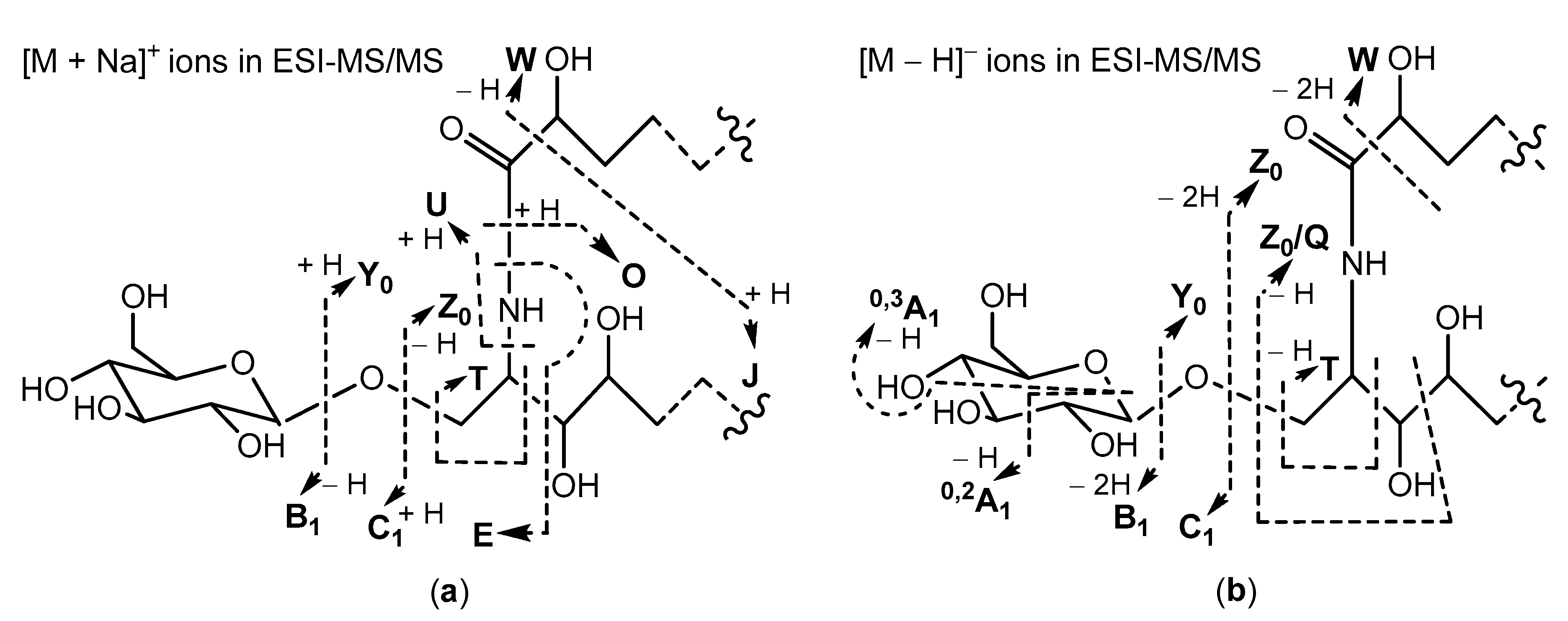 Molecules 25 06047 sch001