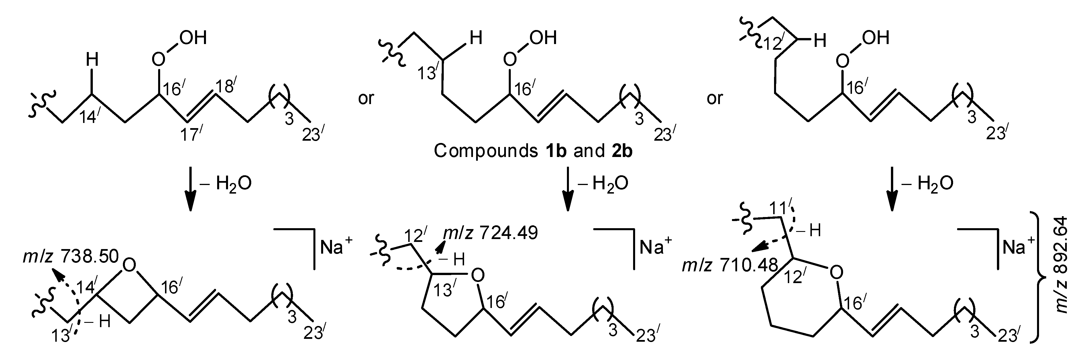Molecules 25 06047 sch002