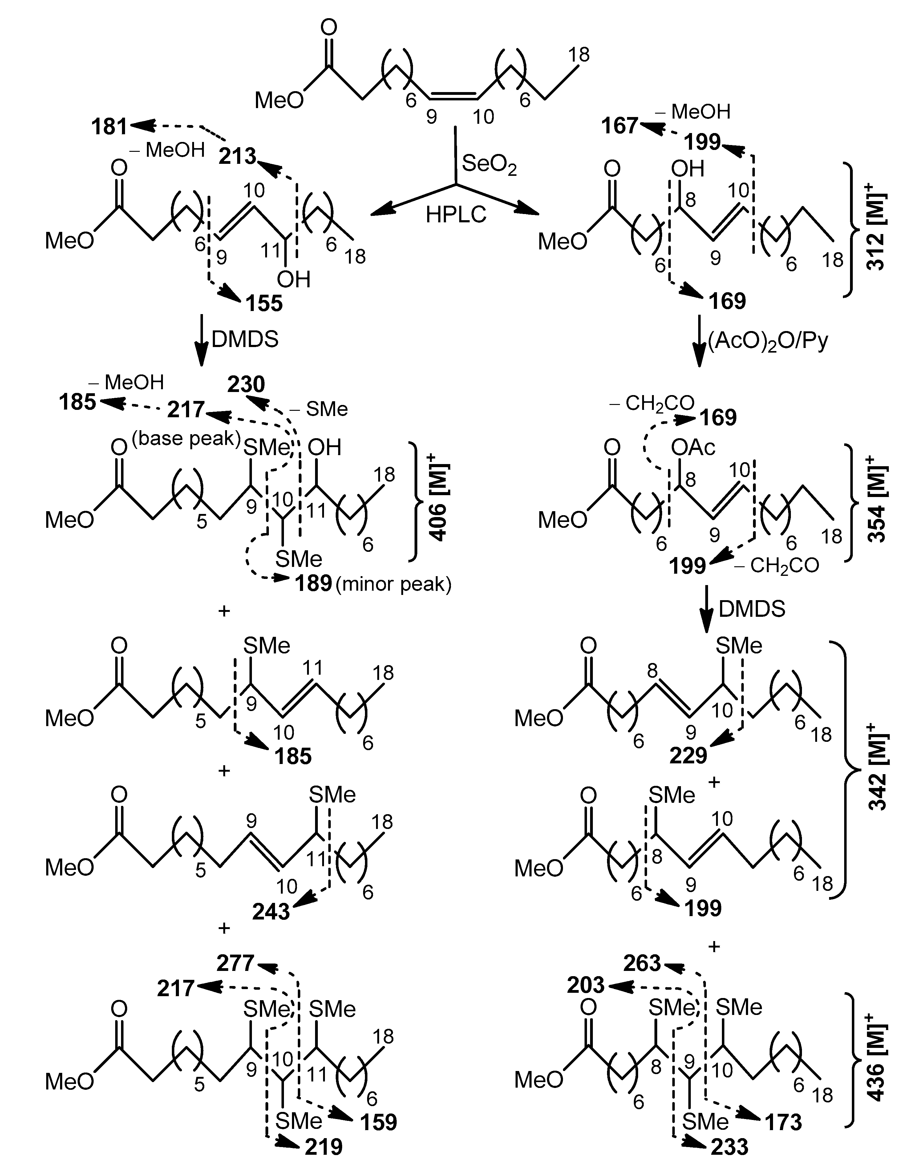 Molecules 25 06047 sch0a1