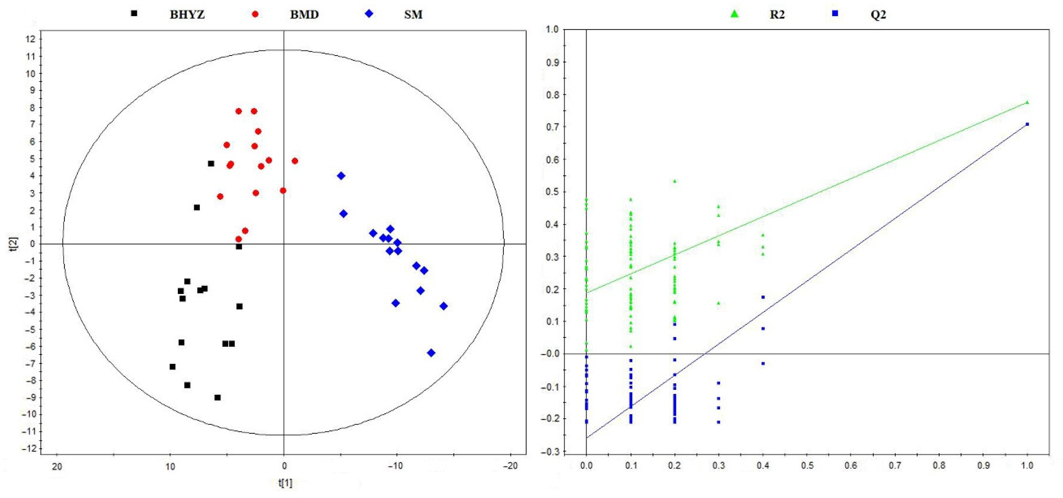 Molecules 25 06050 g002 Molecules 25 06050 g002