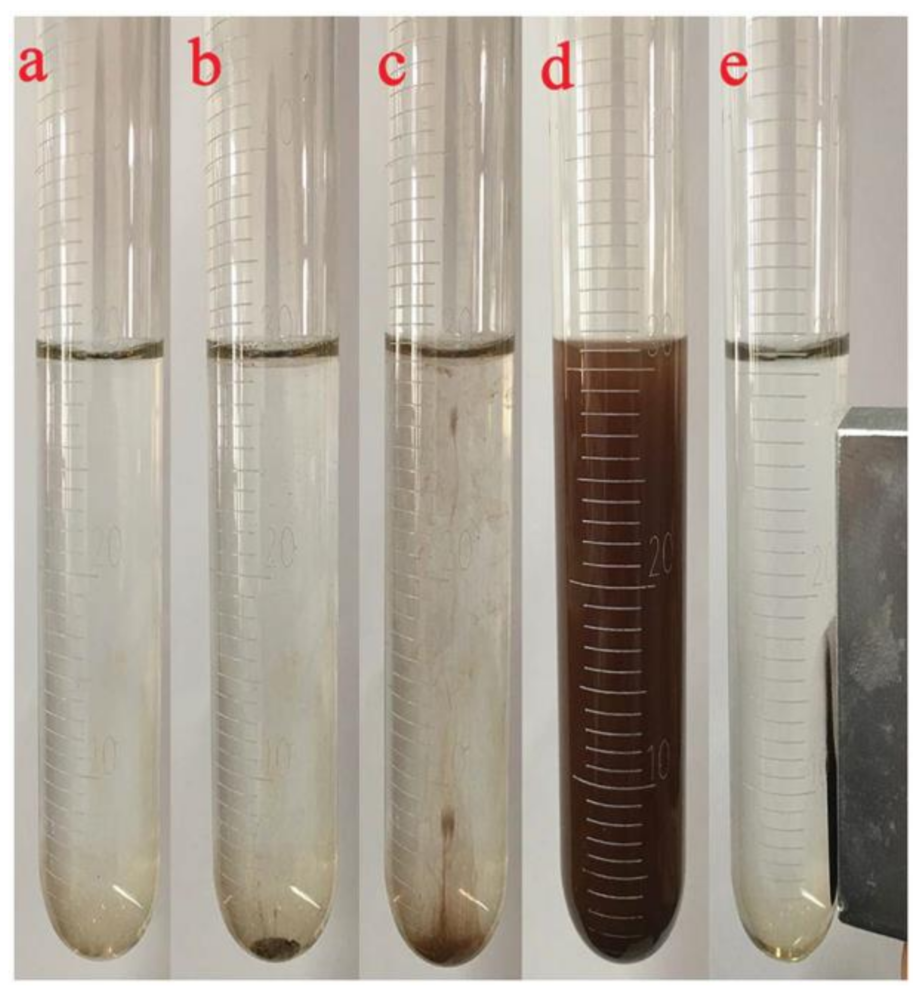 Molecules 25 06053 g002 Molecules 25 06053 g002