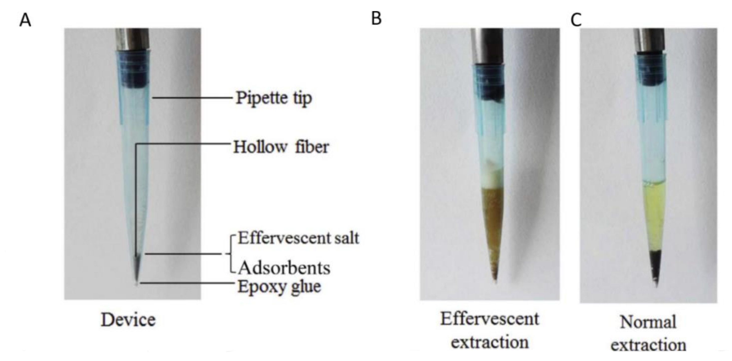 Molecules 25 06053 g003 Molecules 25 06053 g003