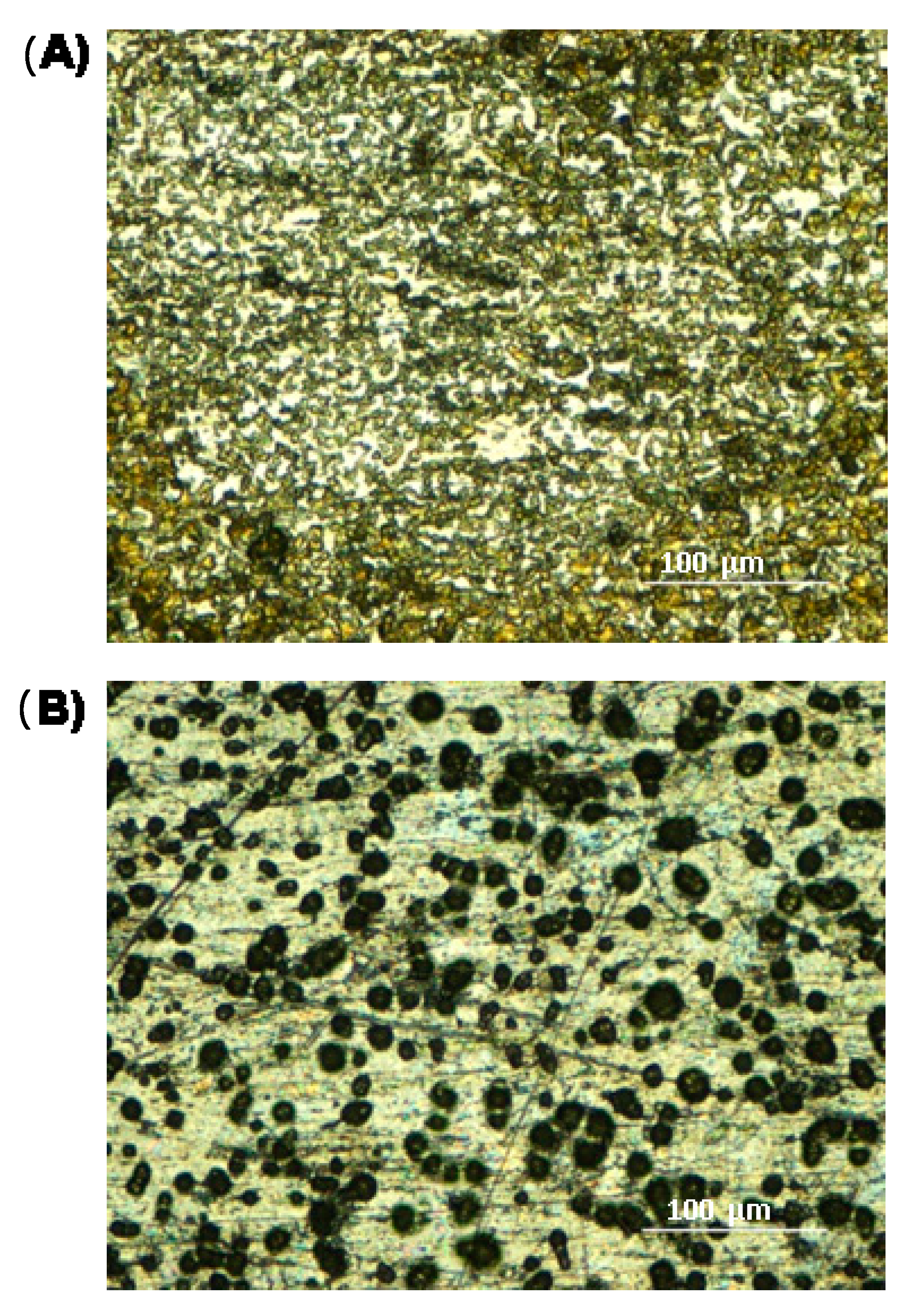 Molecules 25 06054 g004