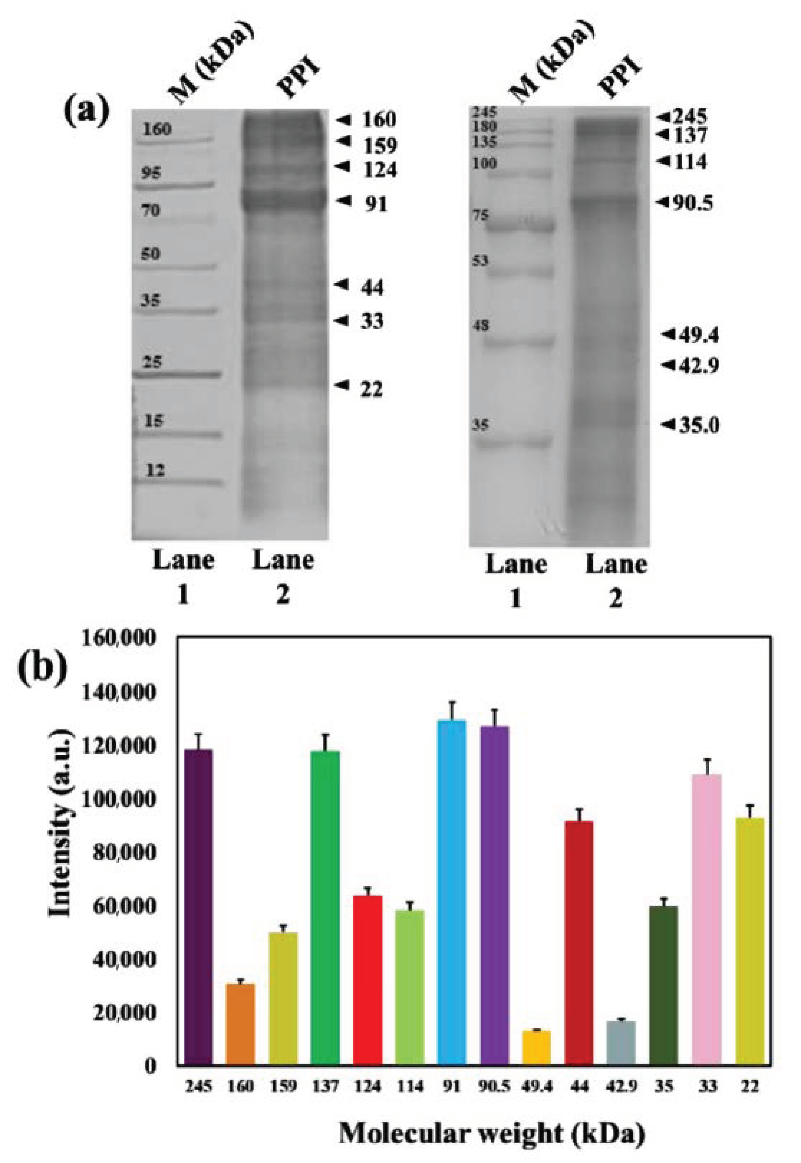 Molecules 25 06056 g003