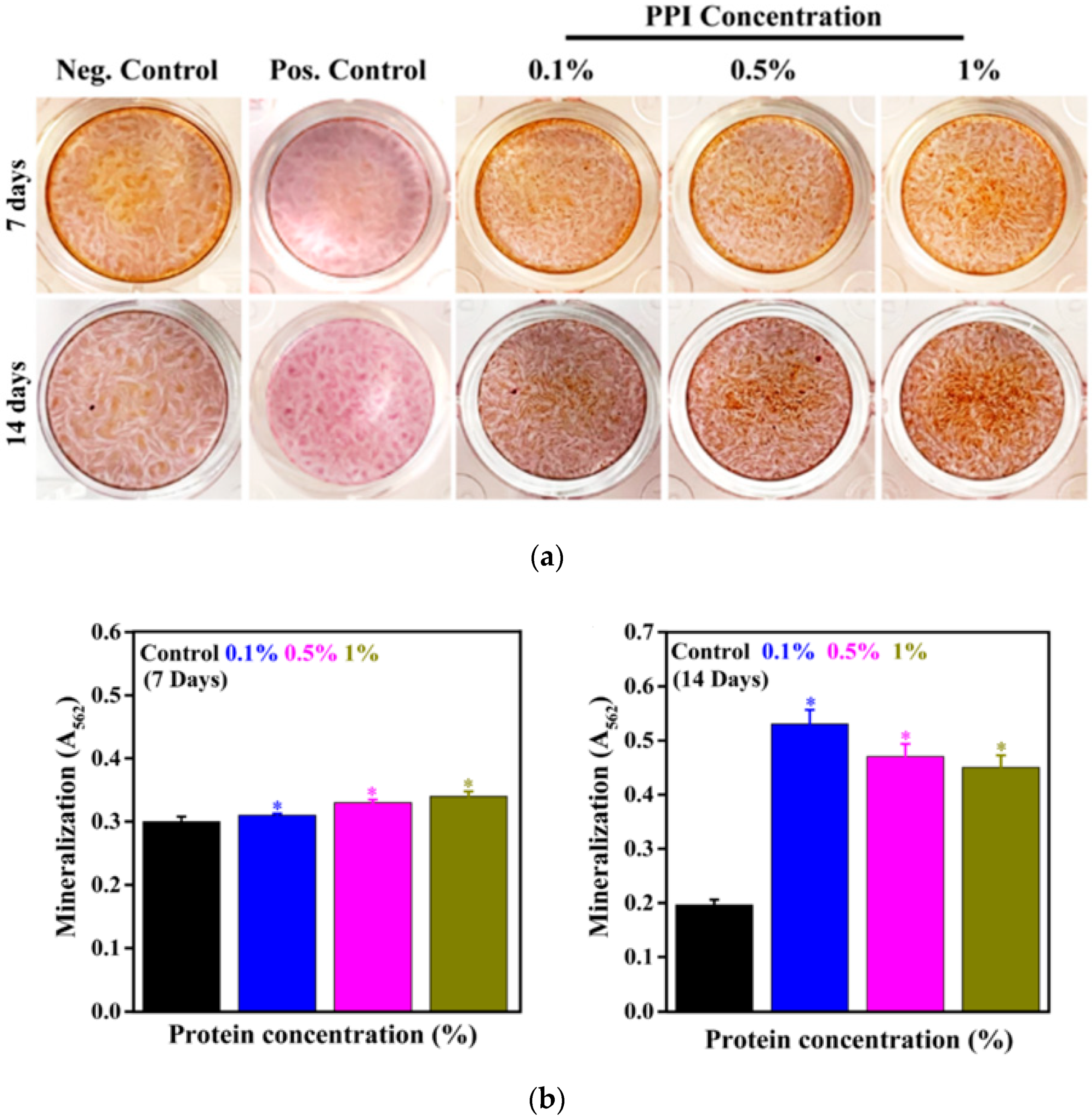 Molecules 25 06056 g008