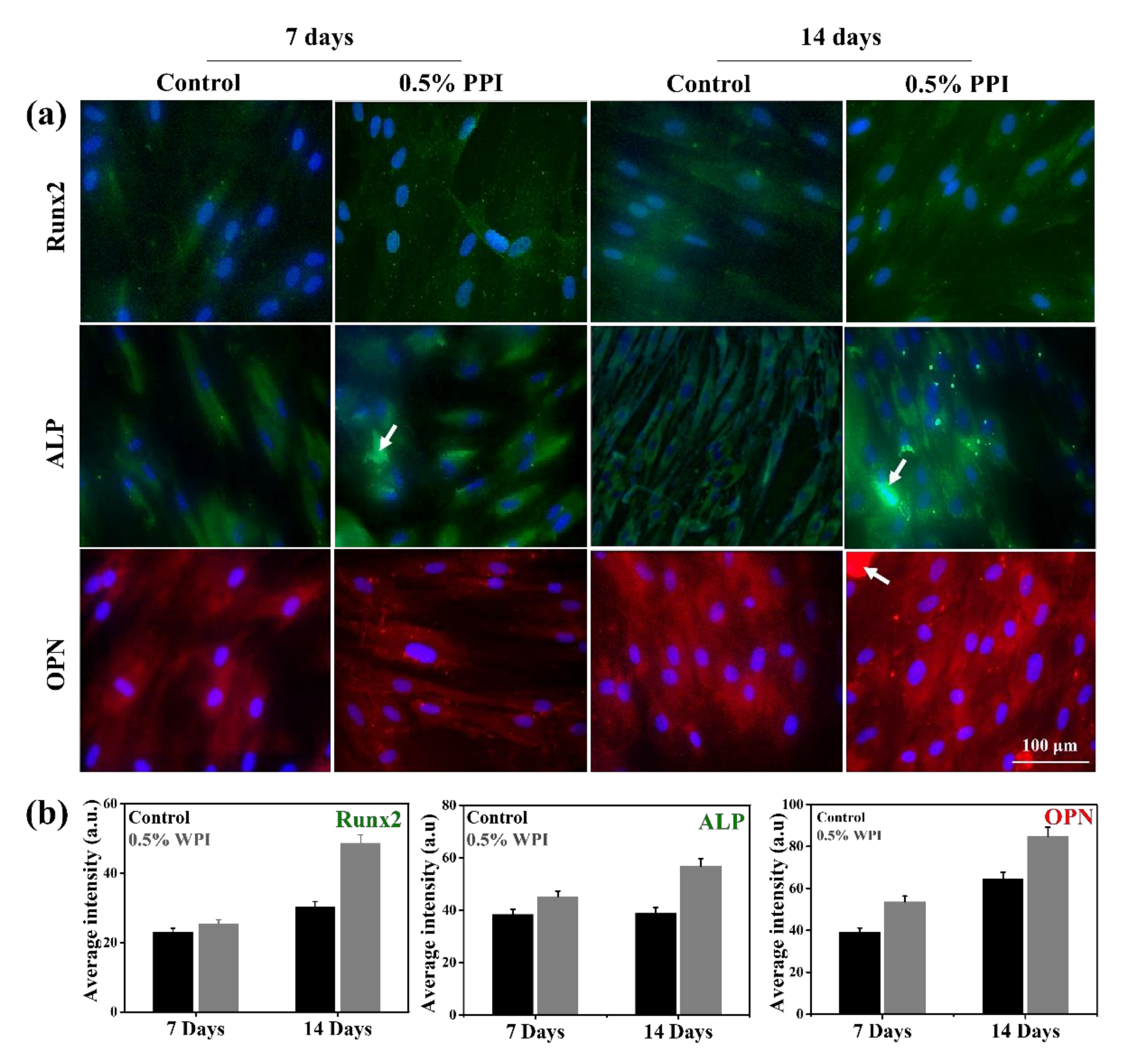 Molecules 25 06056 g010