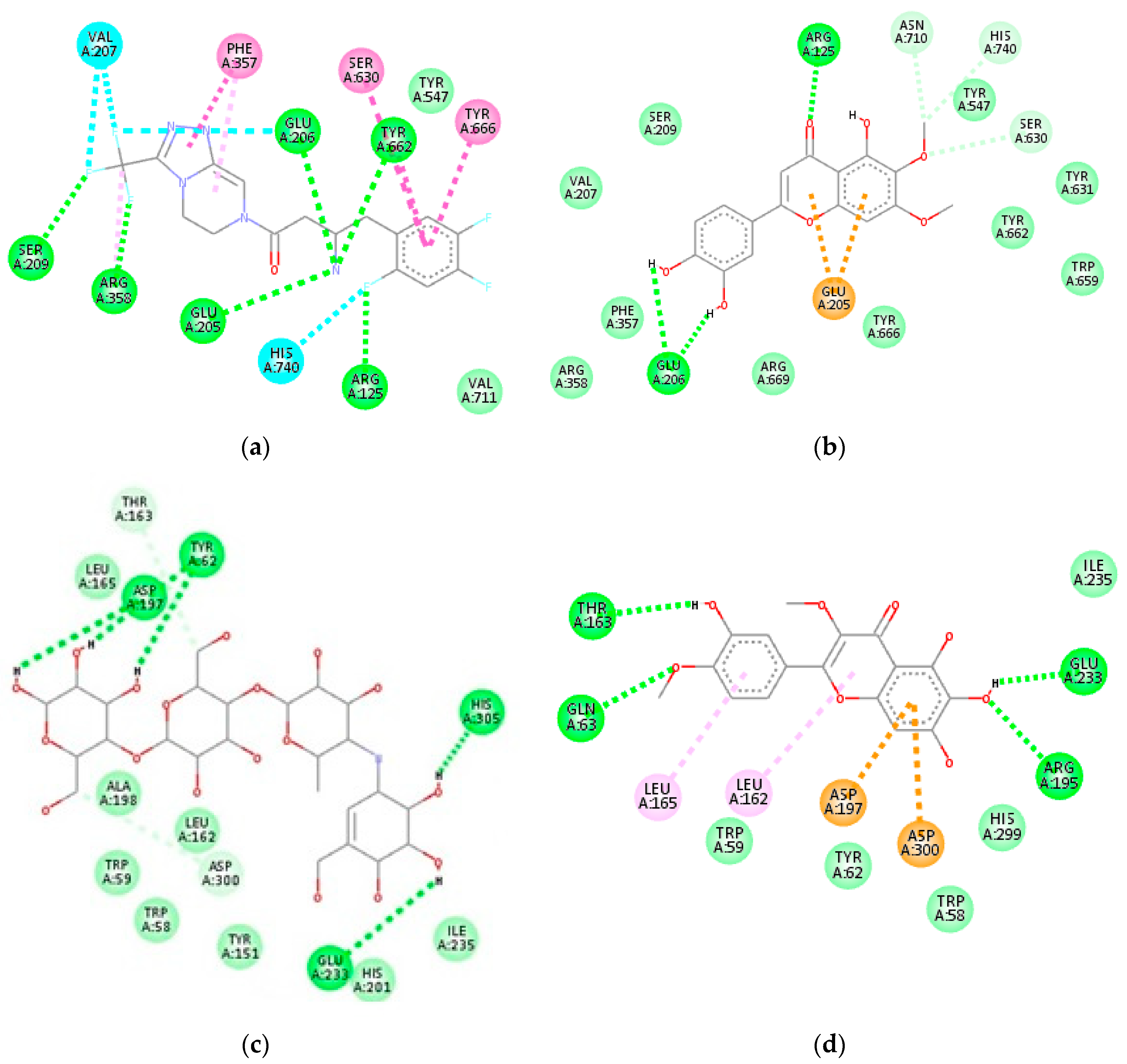 Molecules 26 00001 g003 Molecules 26 00001 g003