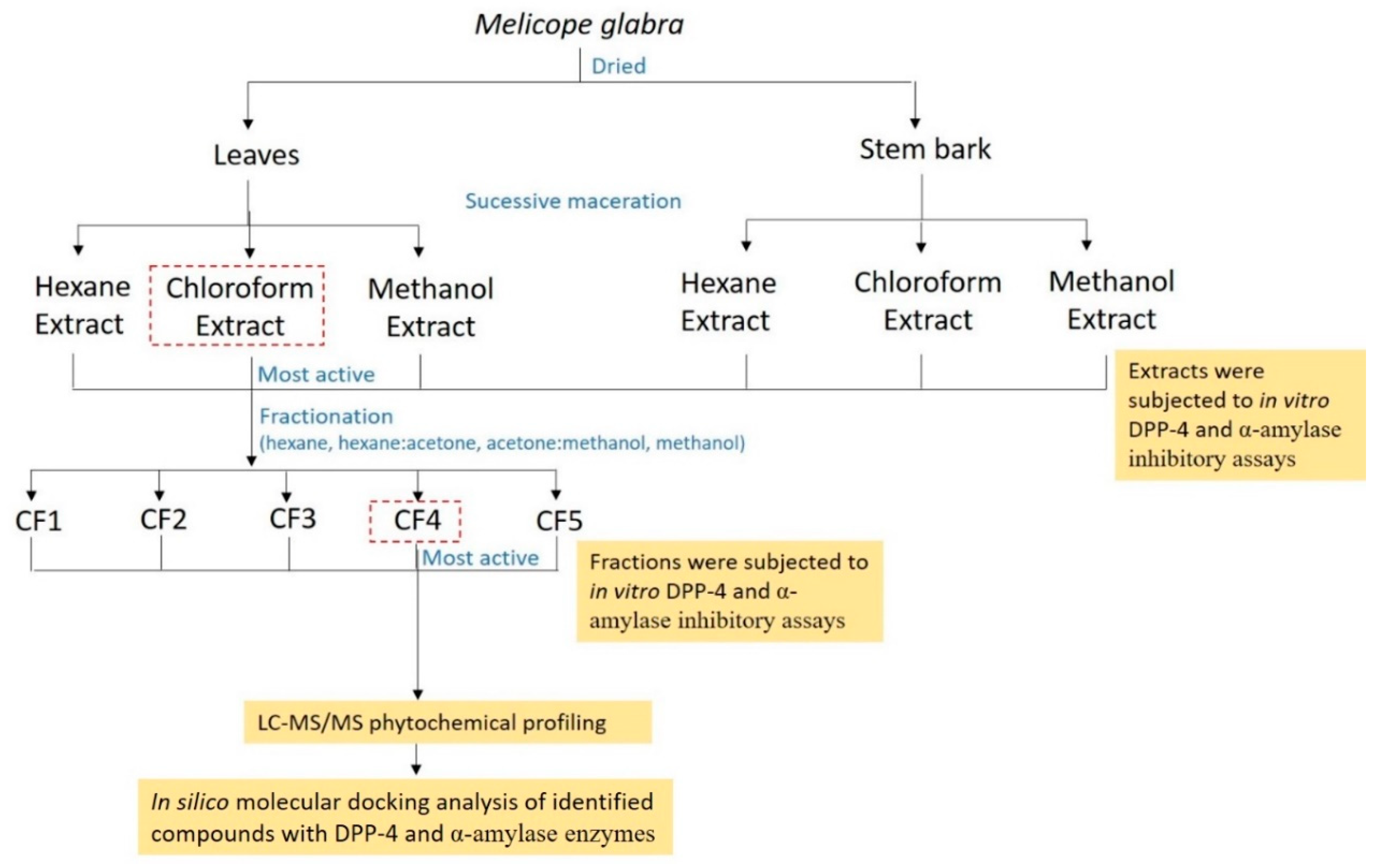 Molecules 26 00001 g004 Molecules 26 00001 g004