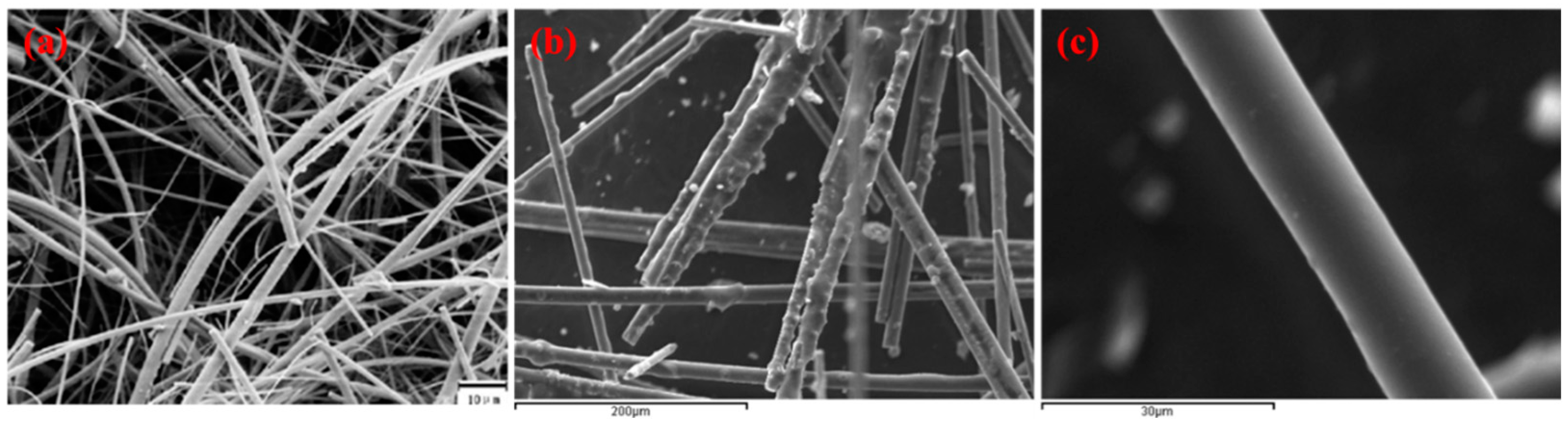 Molecules 26 00009 g003