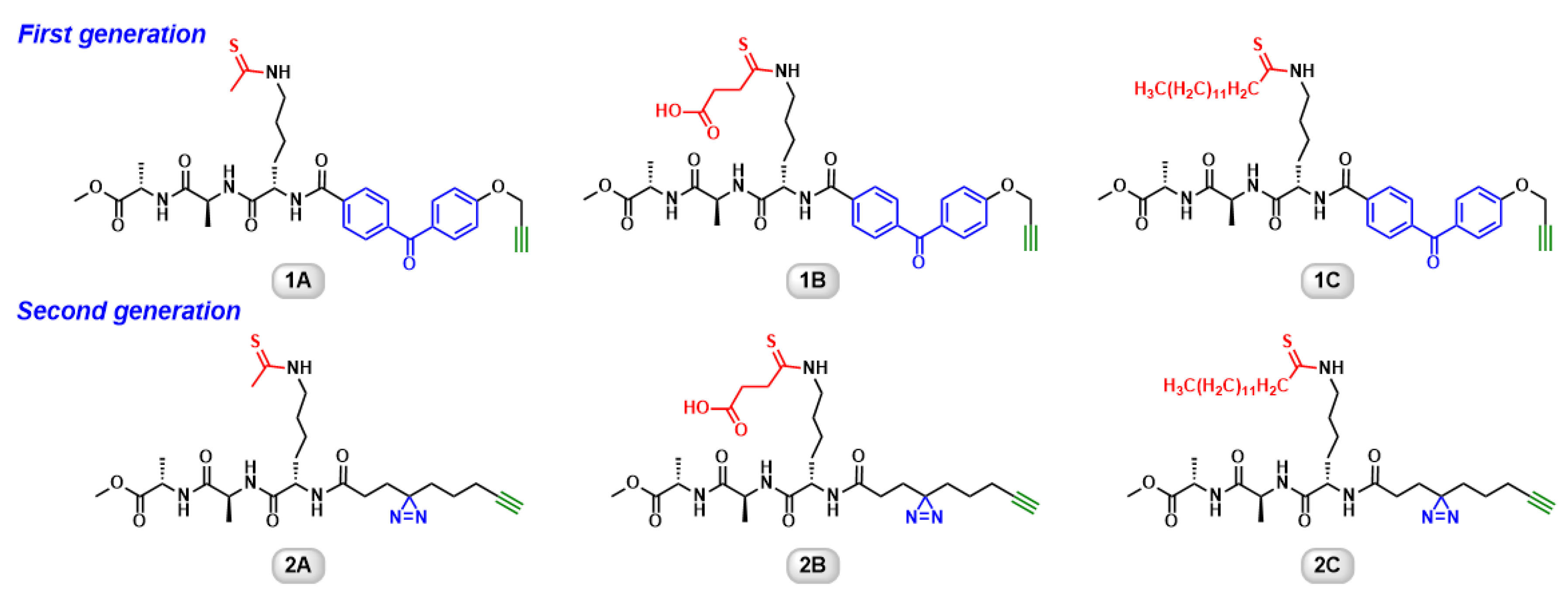 Molecules 26 00011 g001 Molecules 26 00011 g001