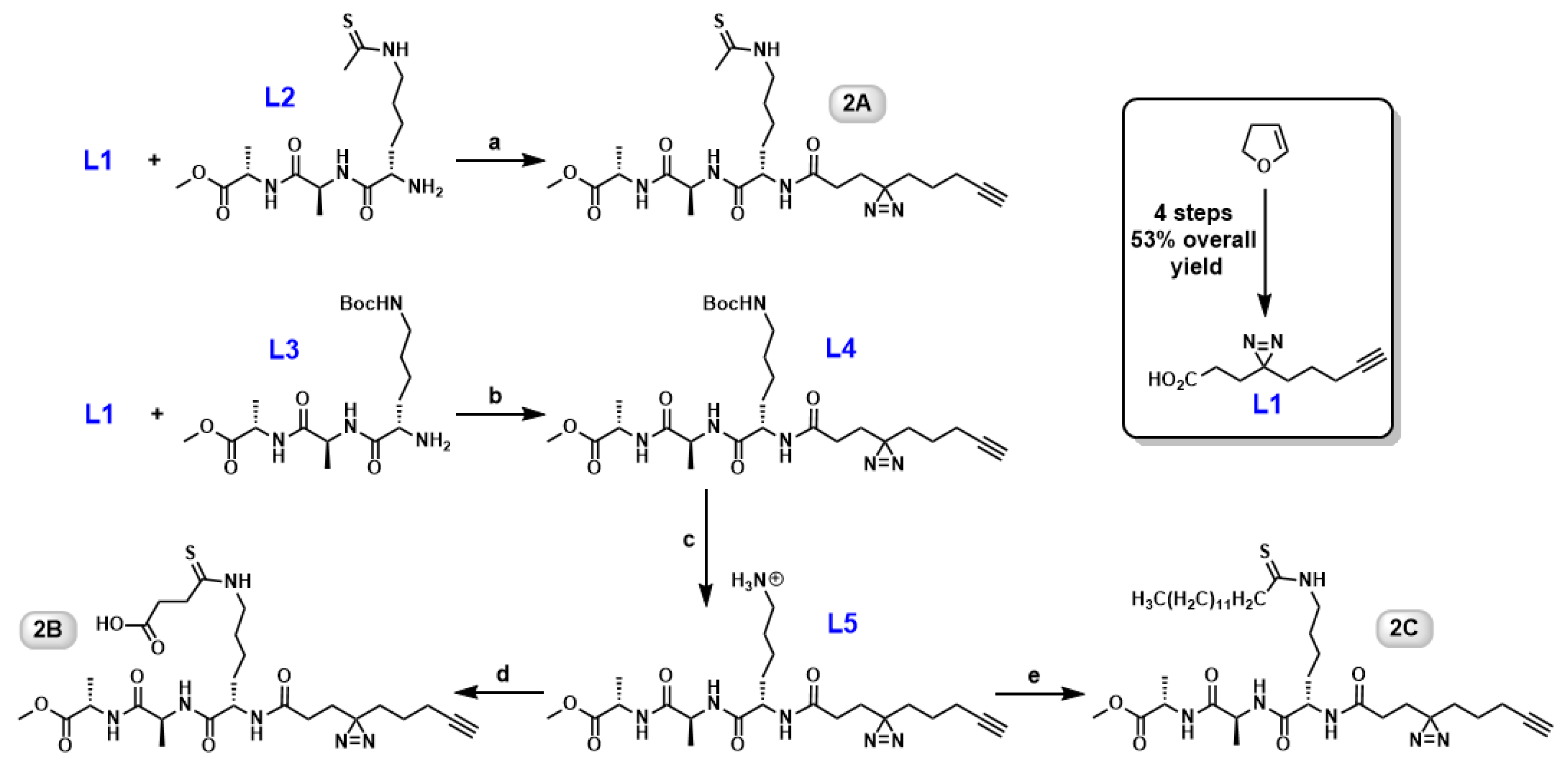 Molecules 26 00011 g002 Molecules 26 00011 g002
