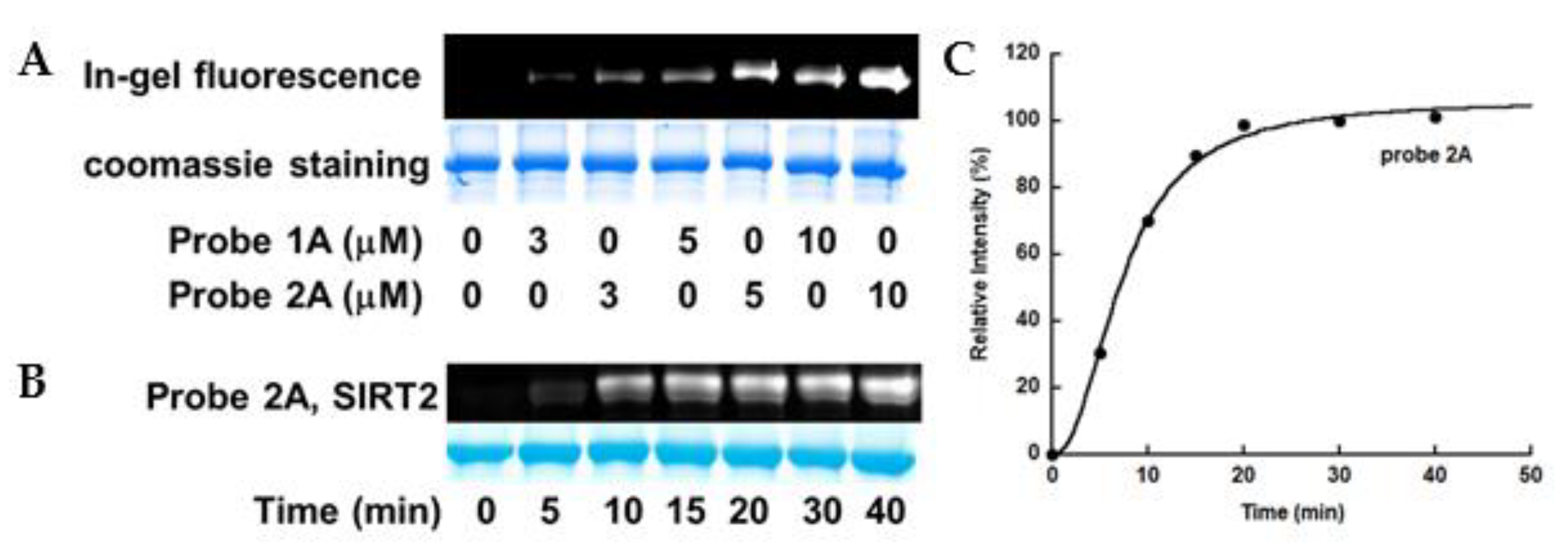 Molecules 26 00011 g003 Molecules 26 00011 g003