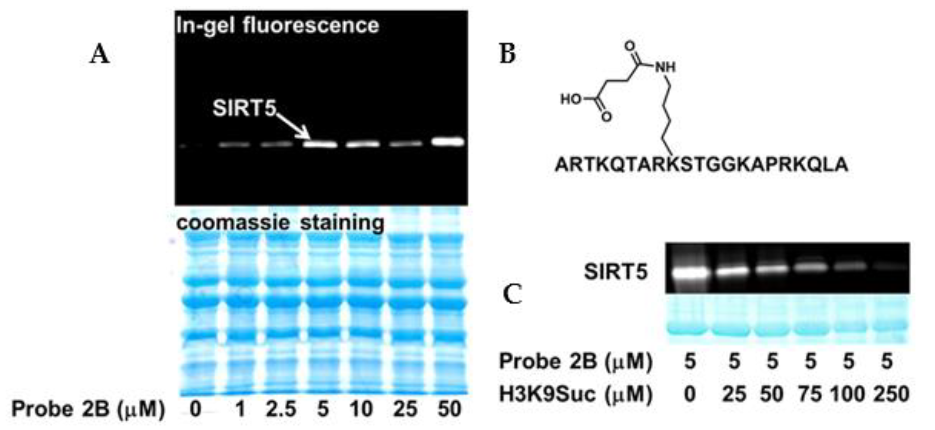 Molecules 26 00011 g004 Molecules 26 00011 g004
