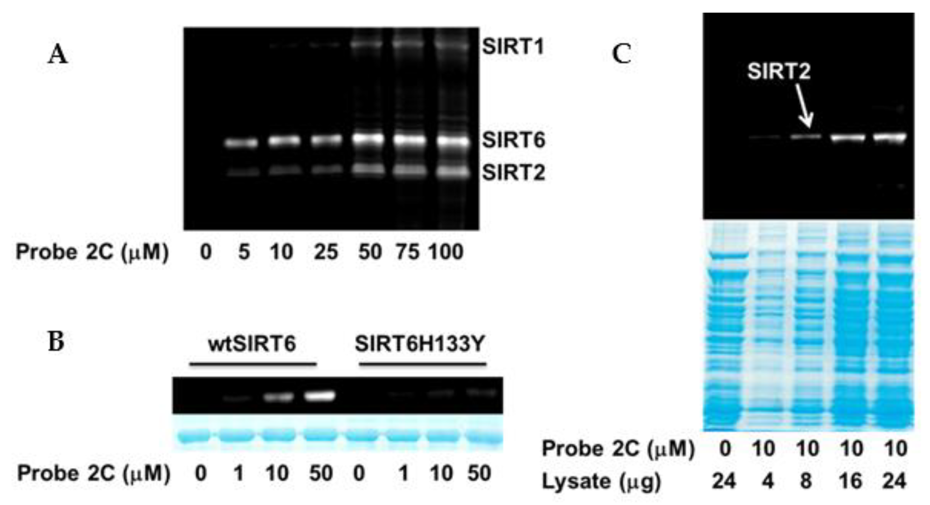 Molecules 26 00011 g005 Molecules 26 00011 g005